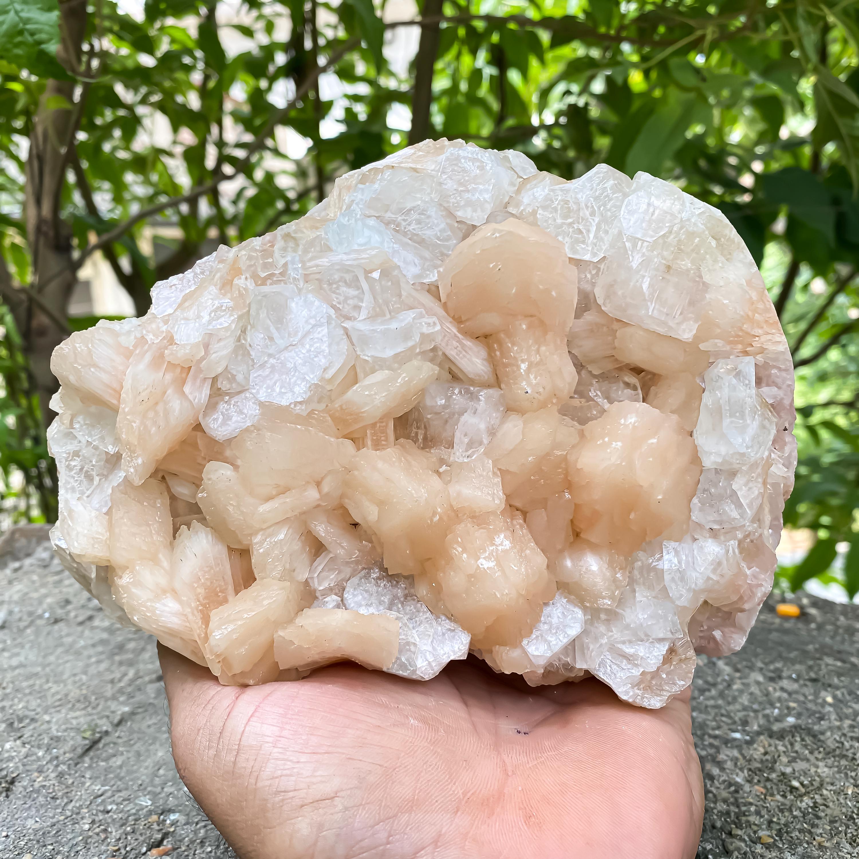 Natural Stillbite Apophyllite Geode Cluster Healing Crystal Mineral Specimen Reiki