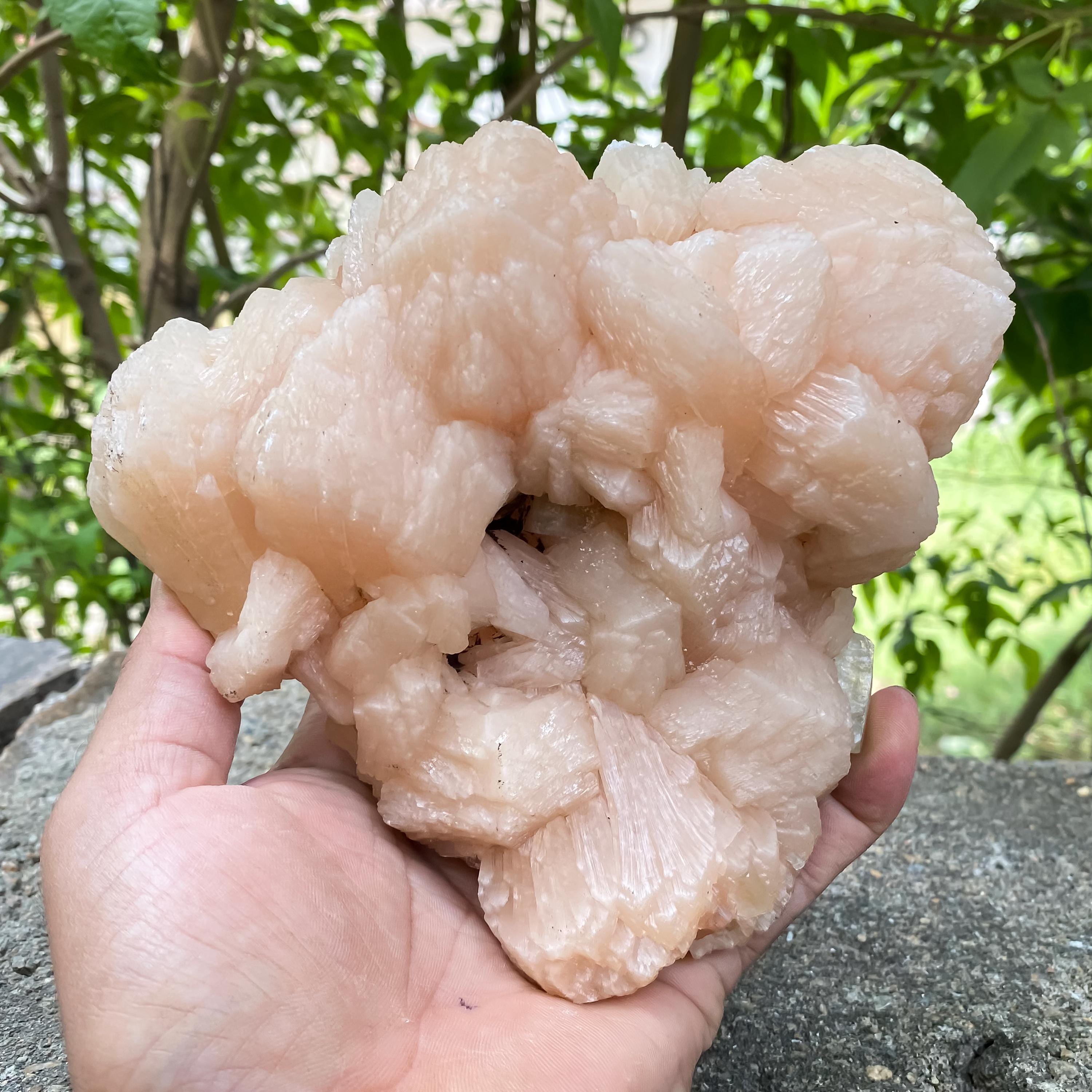 Stillbite Apophyllite Geode Cluster Natural Healing Crystal Minerals Specimen Rough