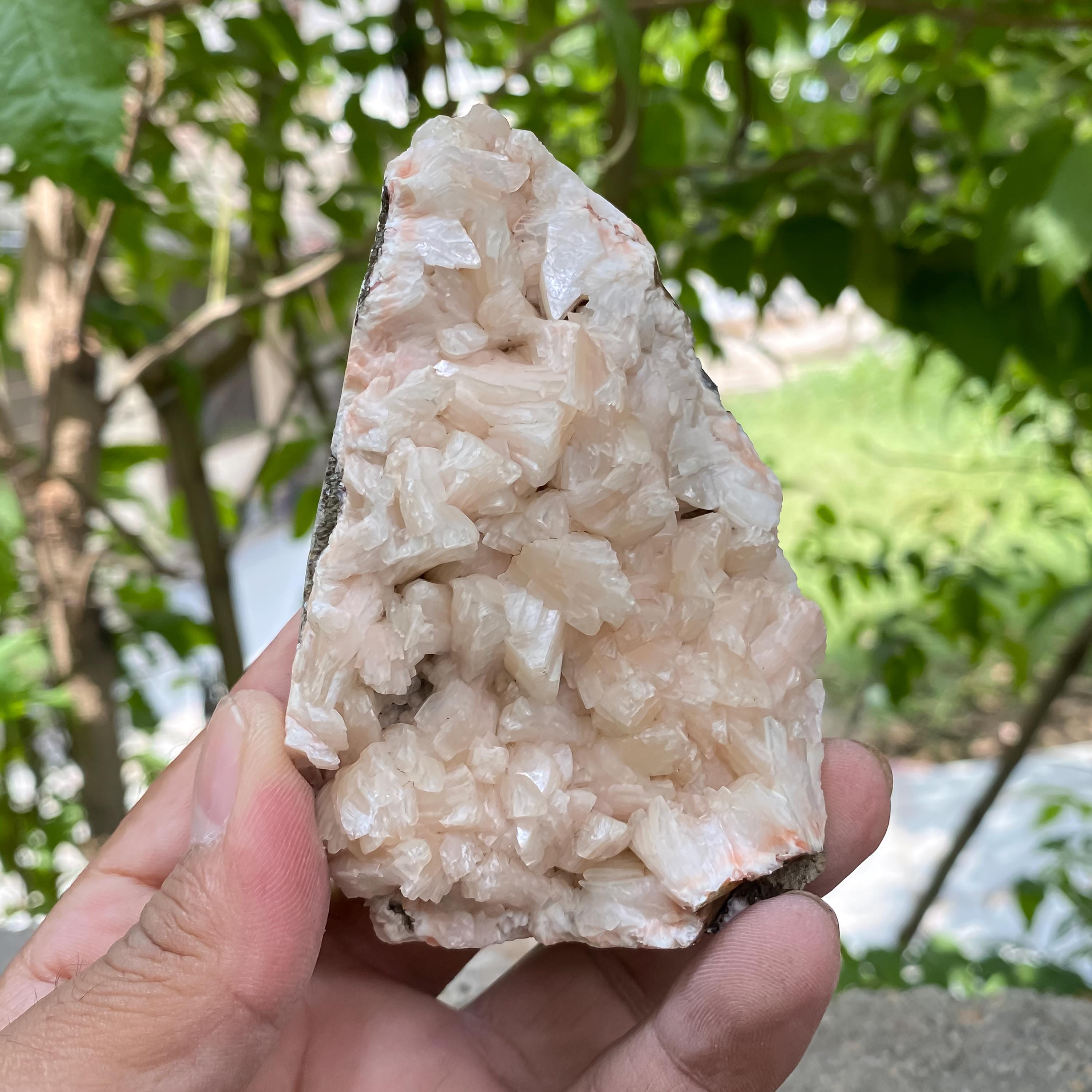 Natural Stilbite Apophyllite Geode Cluster: Himalayan Healing Crystal 324gm