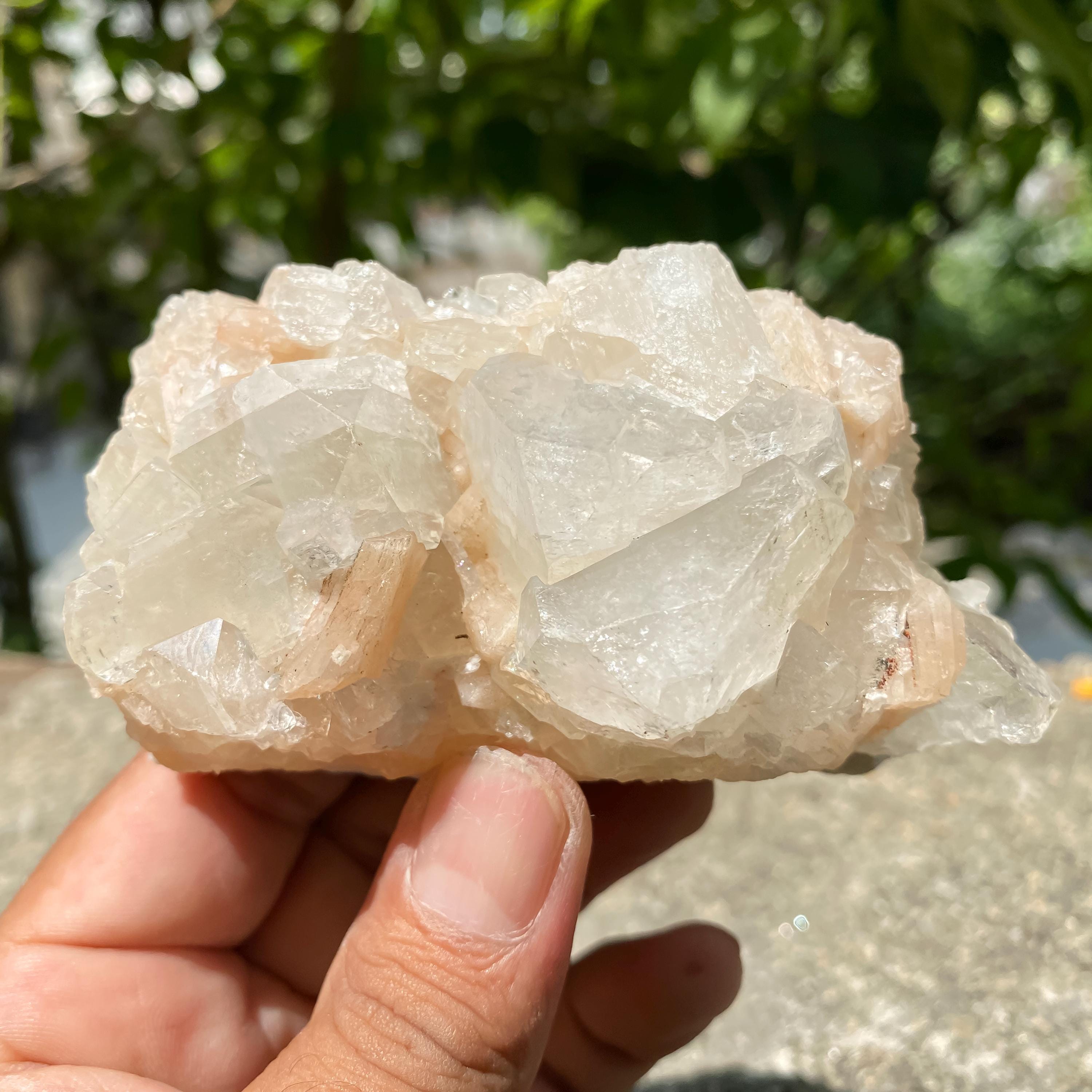 Apophyllite Zeolite Cluster | 220gm Raw Crystal Specimen | Natural Mineral | Healing Stone | Reiki Decor