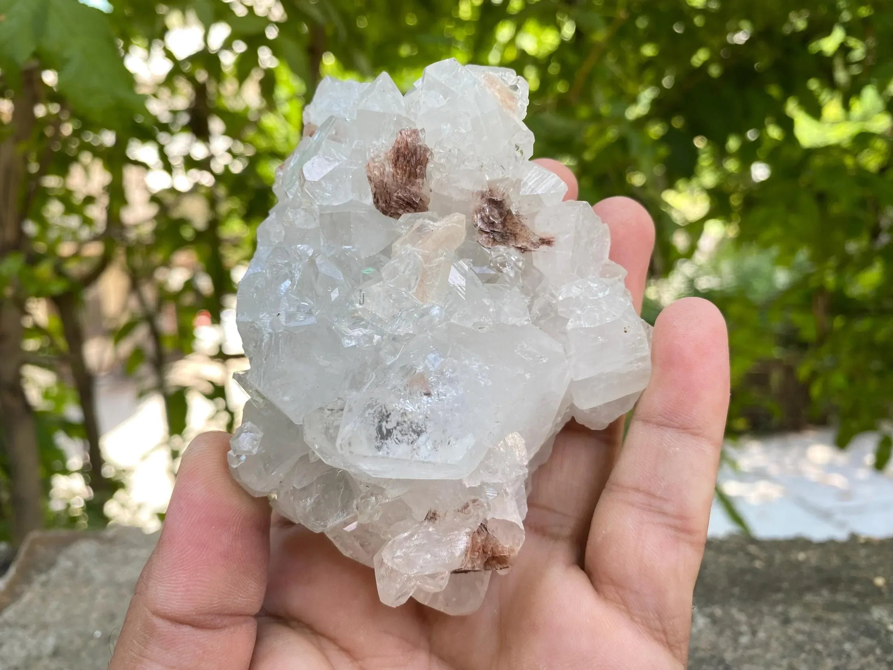 Rare White Apophyllite Geode 285gm Unique Healing Crystal for Spiritual Practice Rough Zeolite