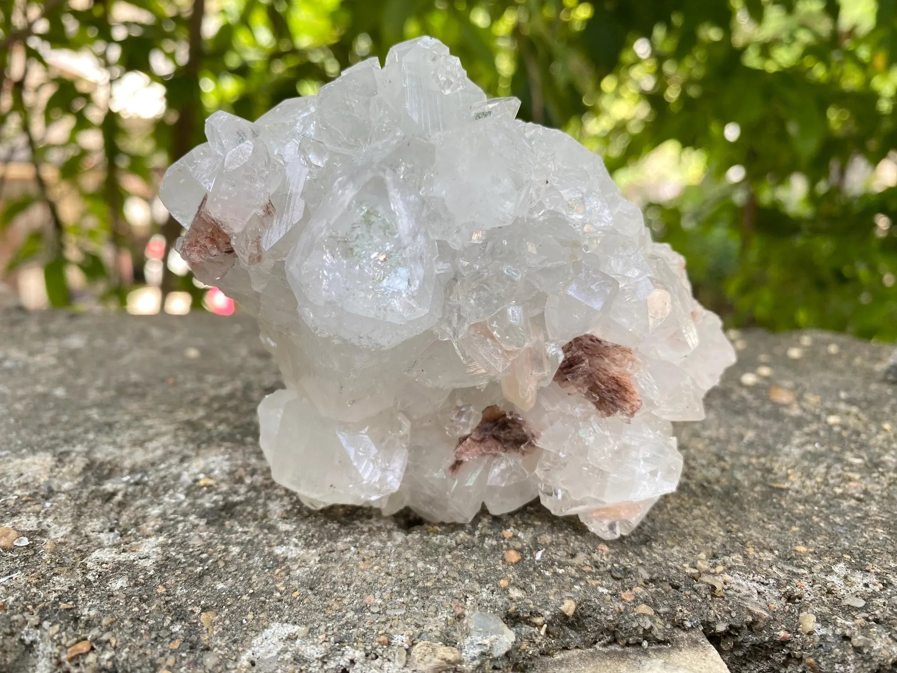 Rare White Apophyllite Geode 285gm Unique Healing Crystal for Spiritual Practice Rough Zeolite