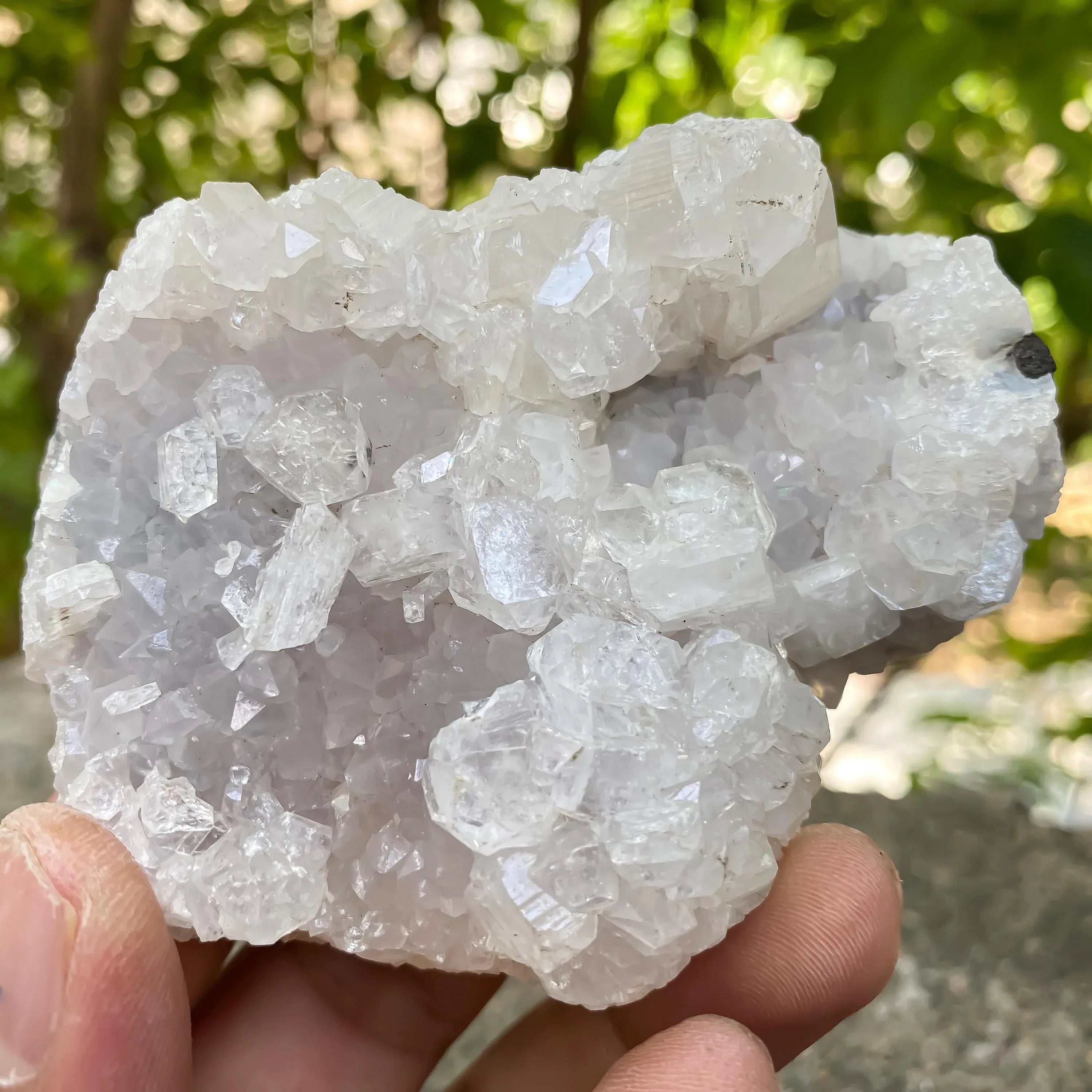 215gm White Apophyllite Cluster Natural Mineral Specimen Zeolite