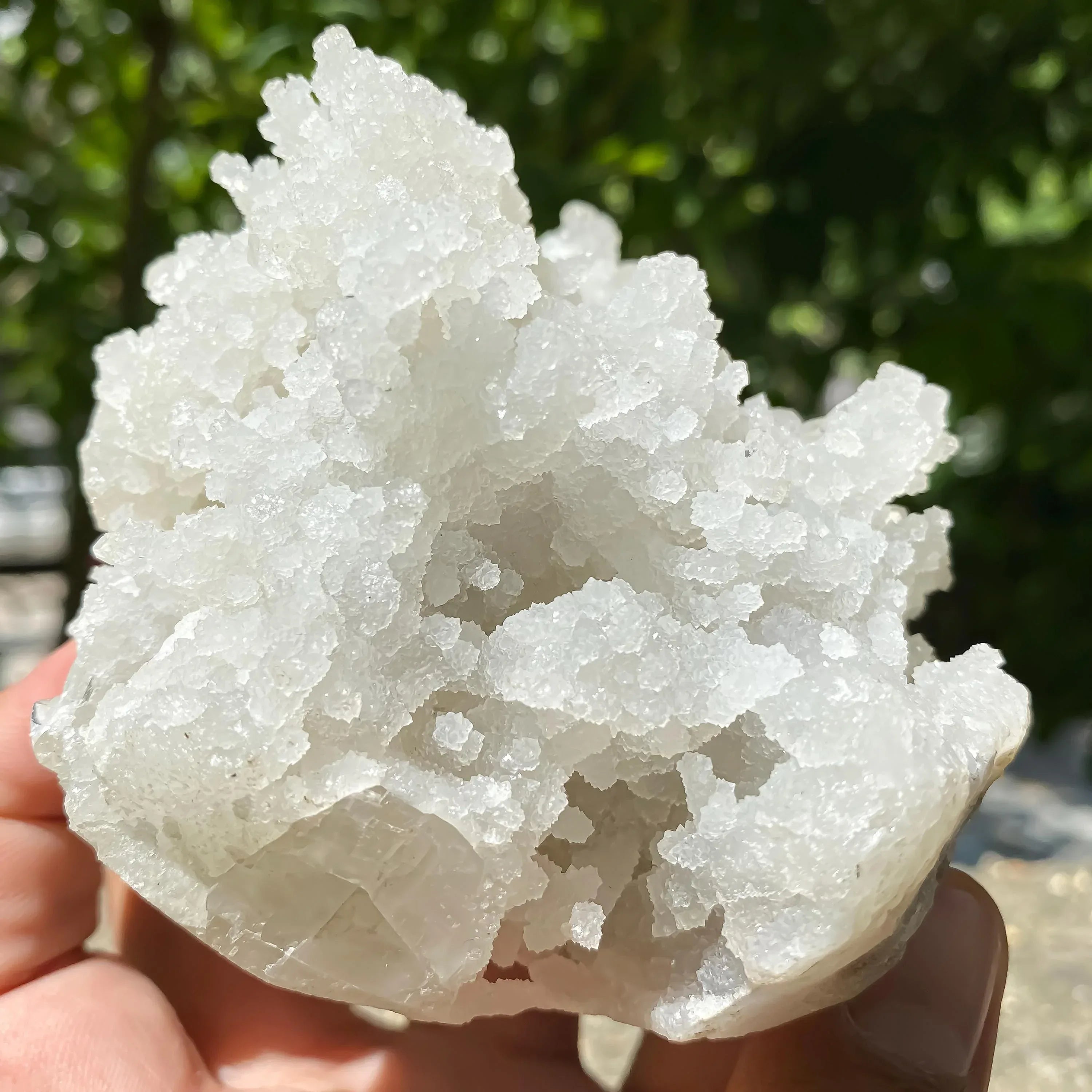 550gm Raw Chalcedony Apophyllite Zeolite Cluster Sparkling Crystal for Healing & Display Zeolite