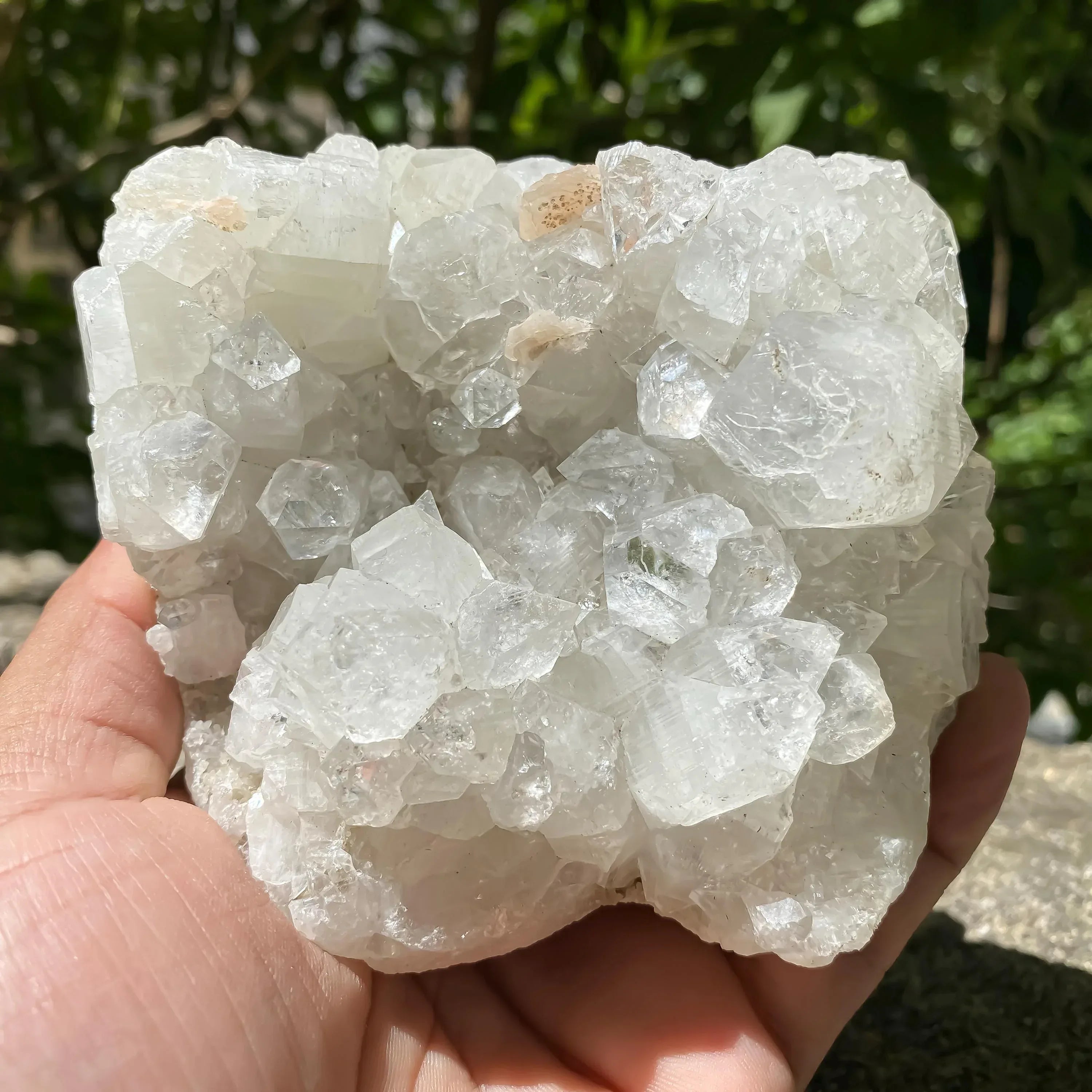 White Apophyllite Crystal Cluster: Healing Stone Home Decor 640gm Zeolite