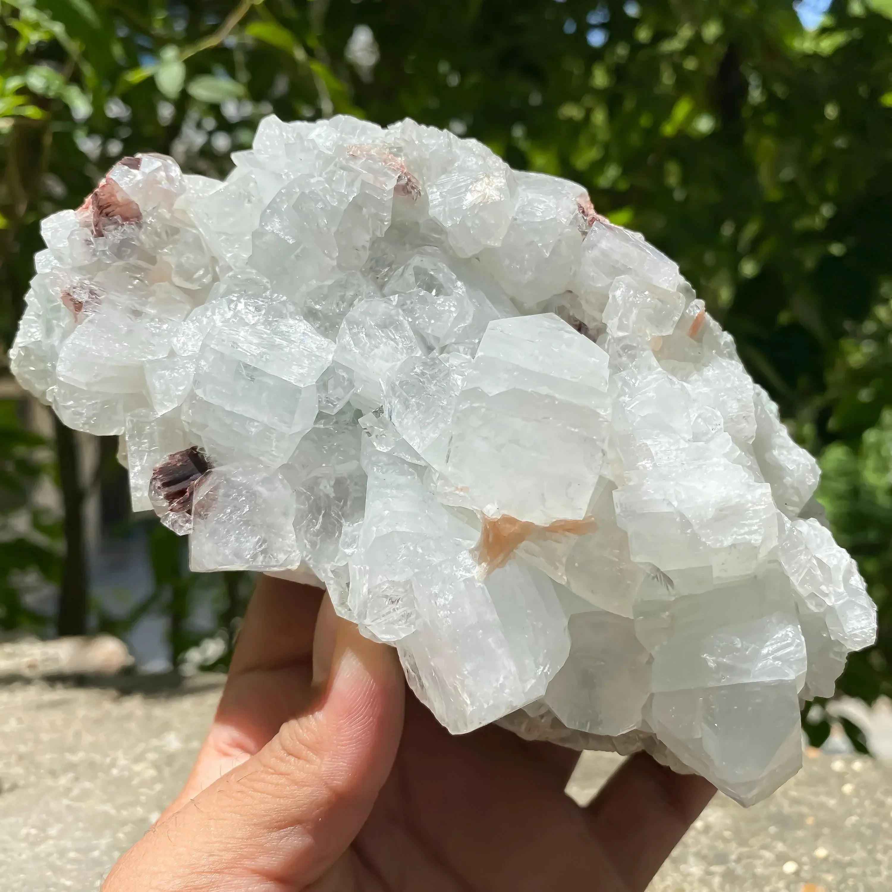 Apophyllite Crystal Cluster with Stilbite Natural Zeolite Mineral for Healing, Meditation, Home Decor Zeolite