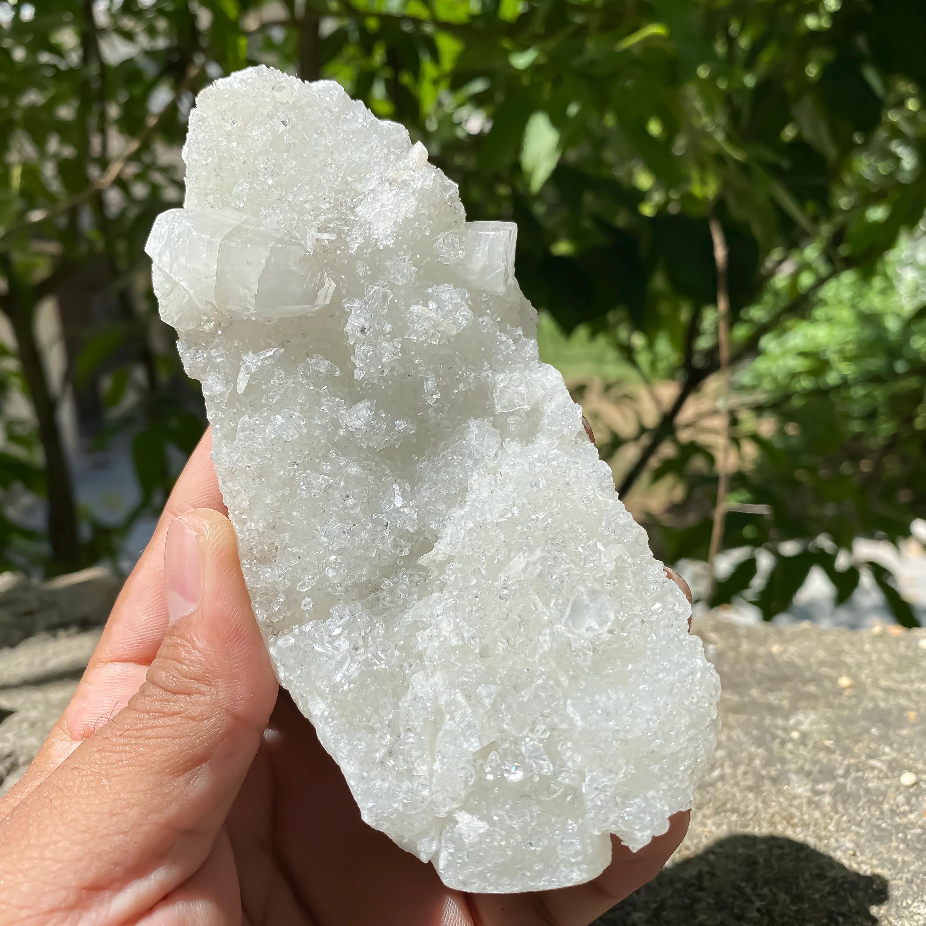 Apophyllite Zeolite Cluster: Natural Healing Stone, Meditation Decor Rough 275gm