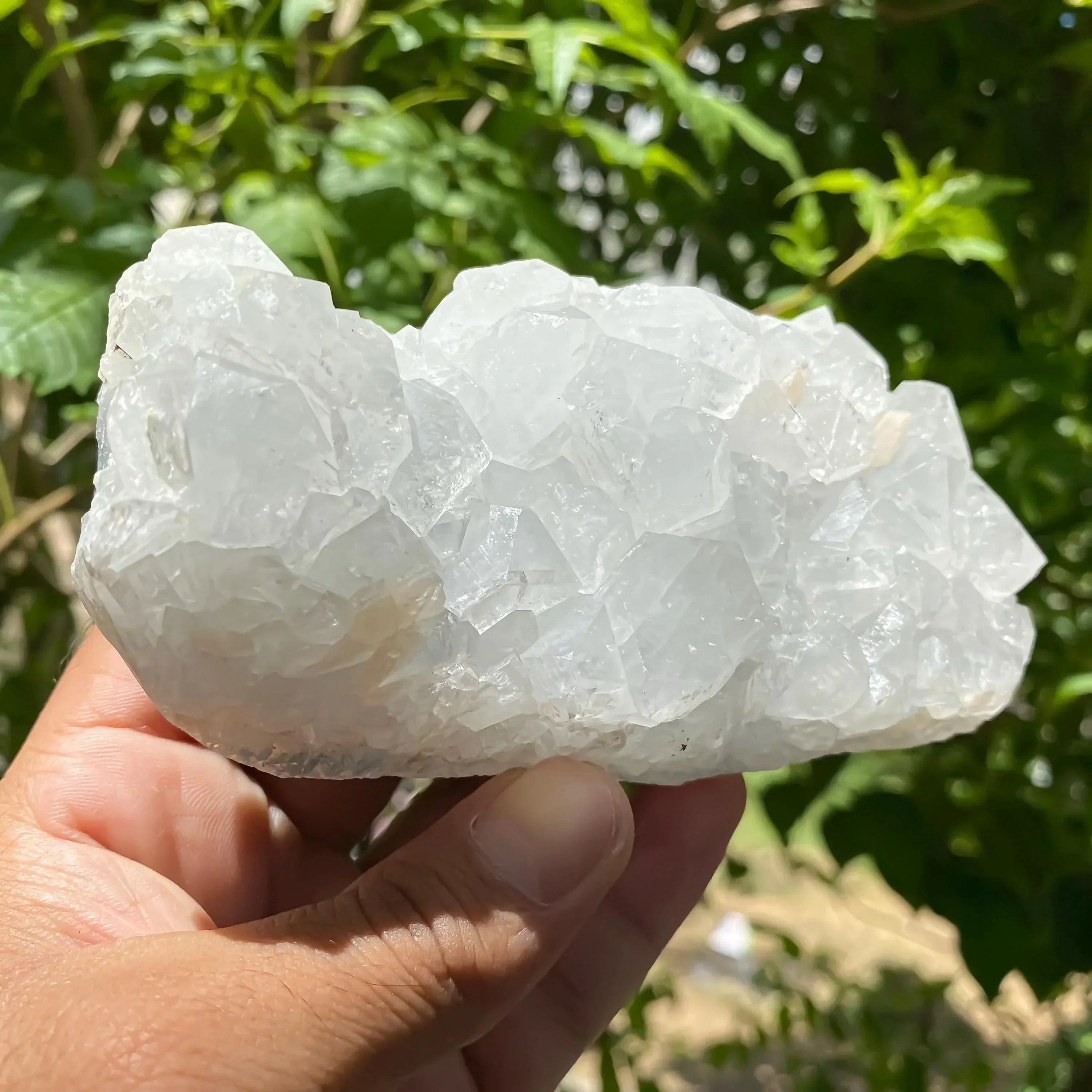 Natural White Apophyllite Crystal Cluster: Reiki Healing Stone 600gm Zeolite