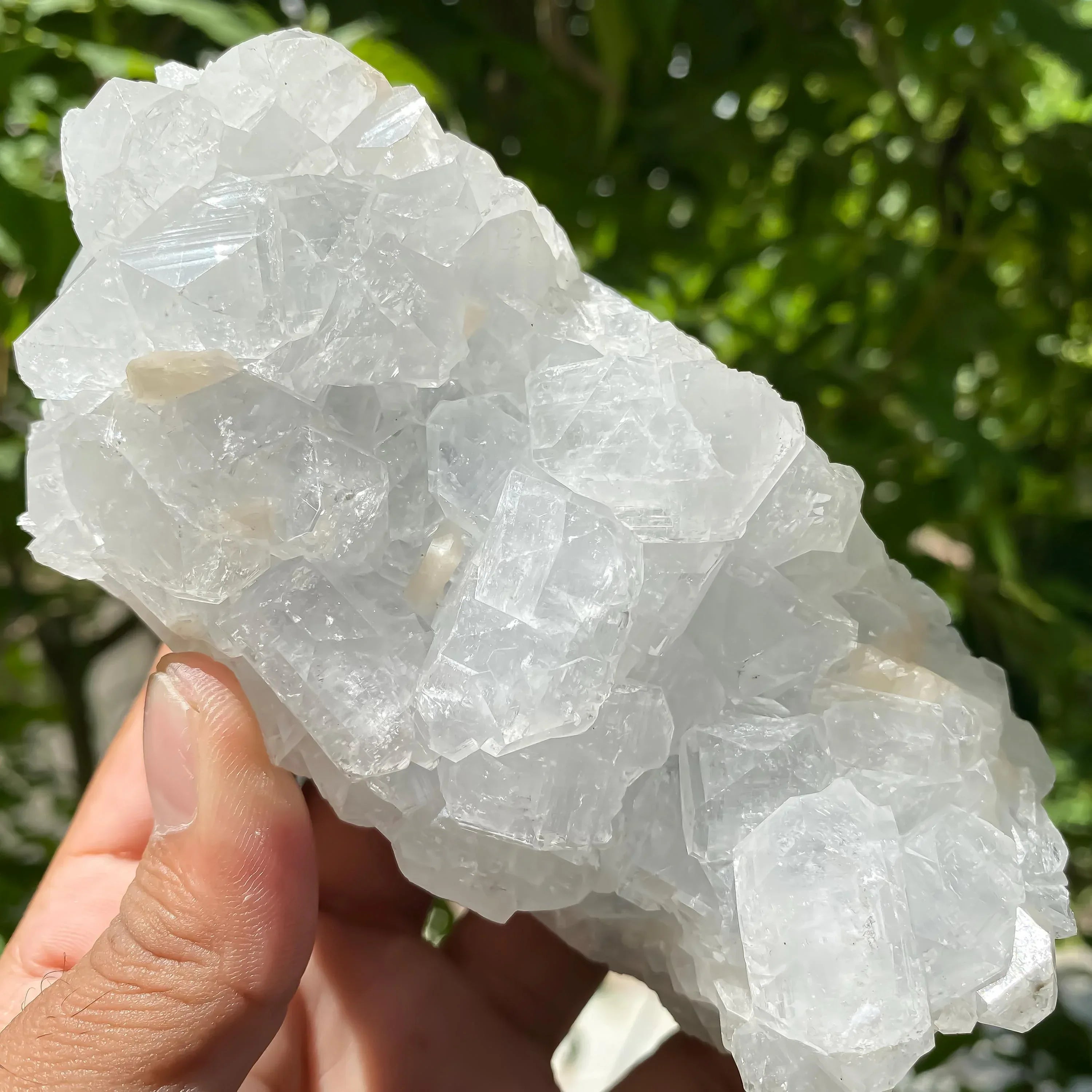 Natural White Apophyllite Crystal Cluster: Reiki Healing Stone 600gm Zeolite