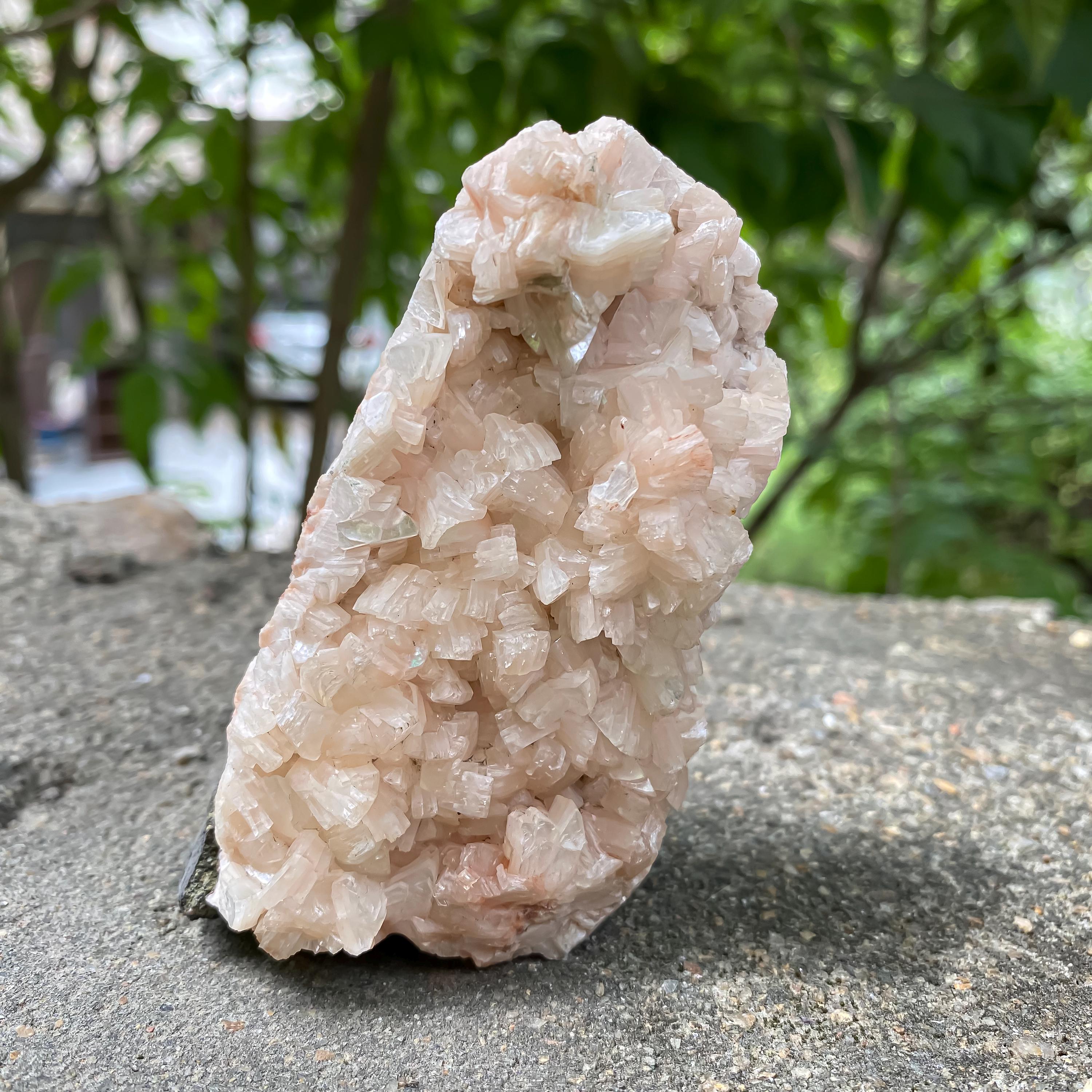 Standing Stilbite Apophyllite Specimen: Natural India Mineral Collection Rough 205gm