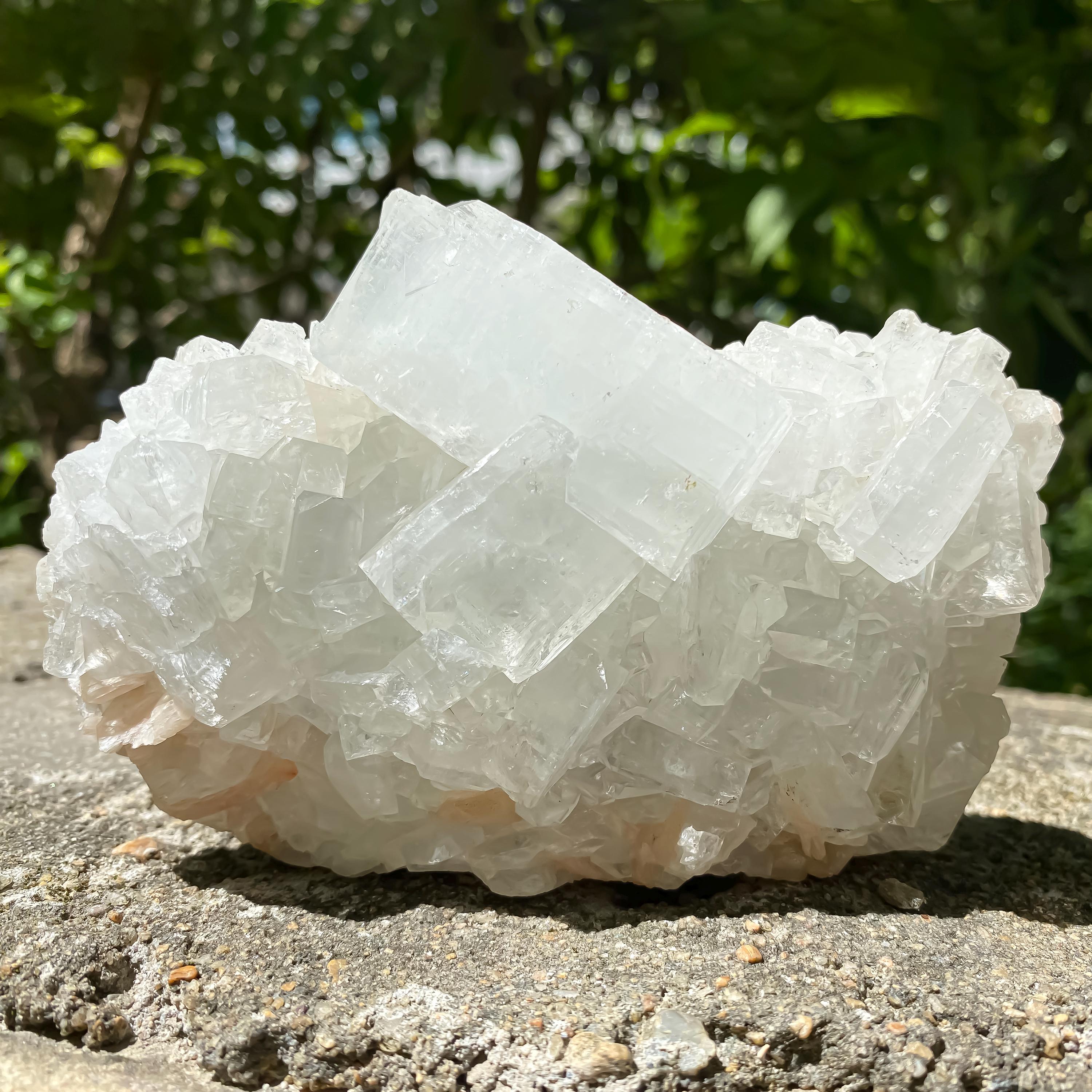 Natural White Apophyllite Cluster 593gm Druzy Crystal Reiki Healing Stone Rough