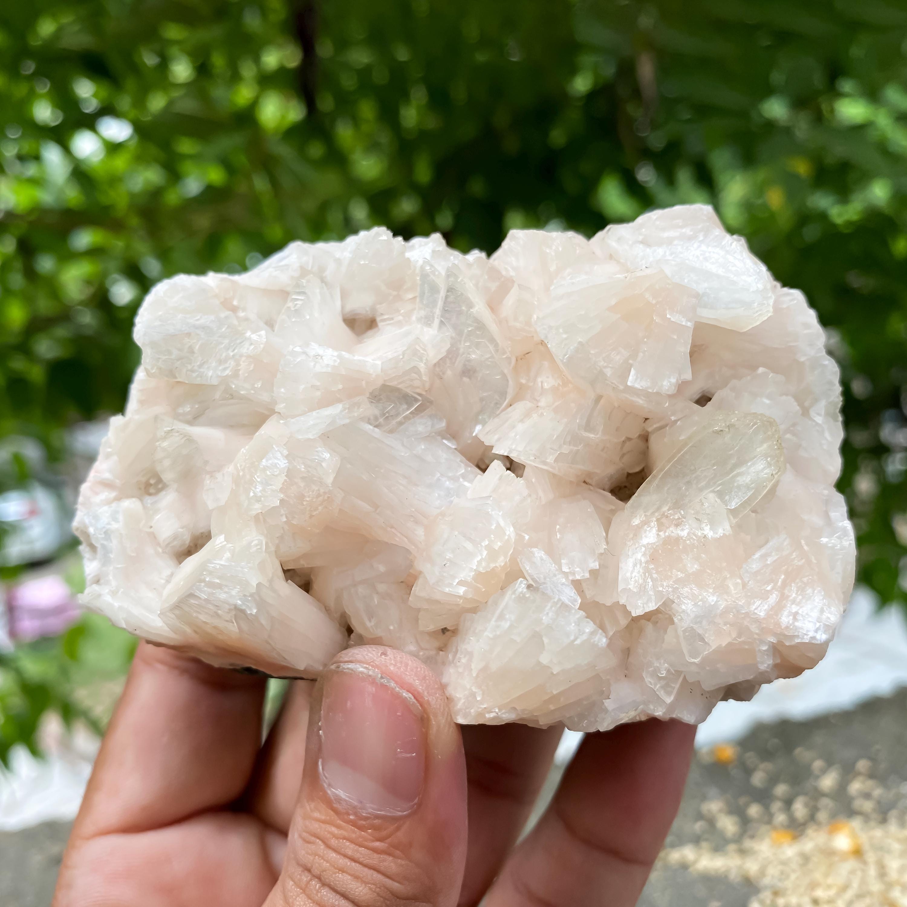 Peach Stilbite Apophyllite Crystal Geode Healing Stone 340gm