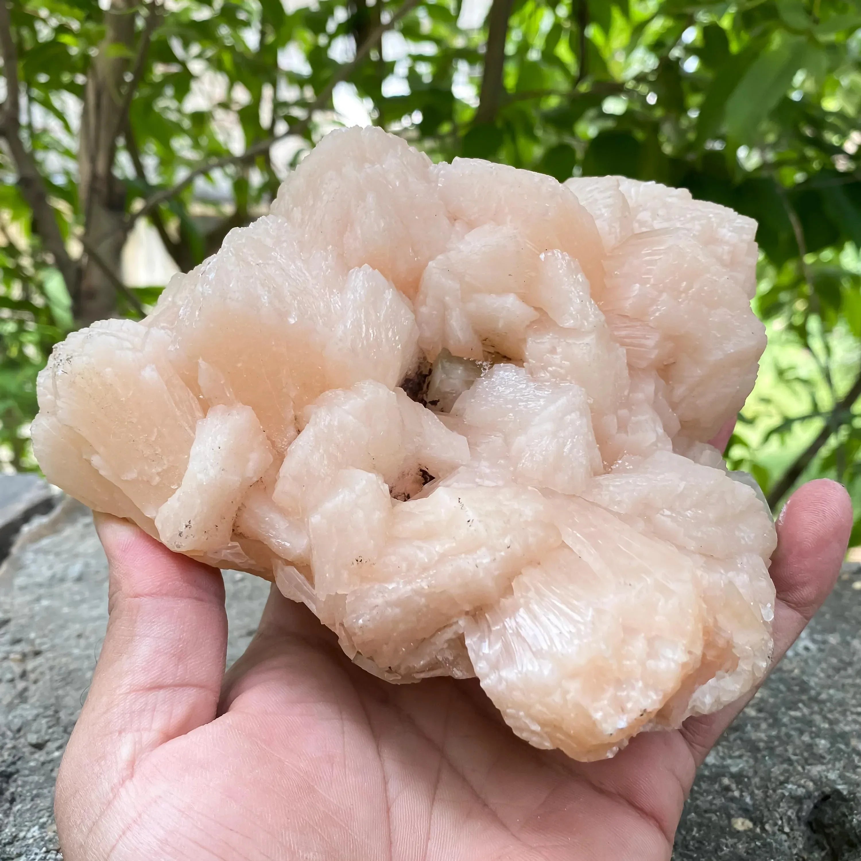 Stillbite Apophyllite Geode Cluster Natural Healing Crystal Minerals Specimen Rough Zeolite