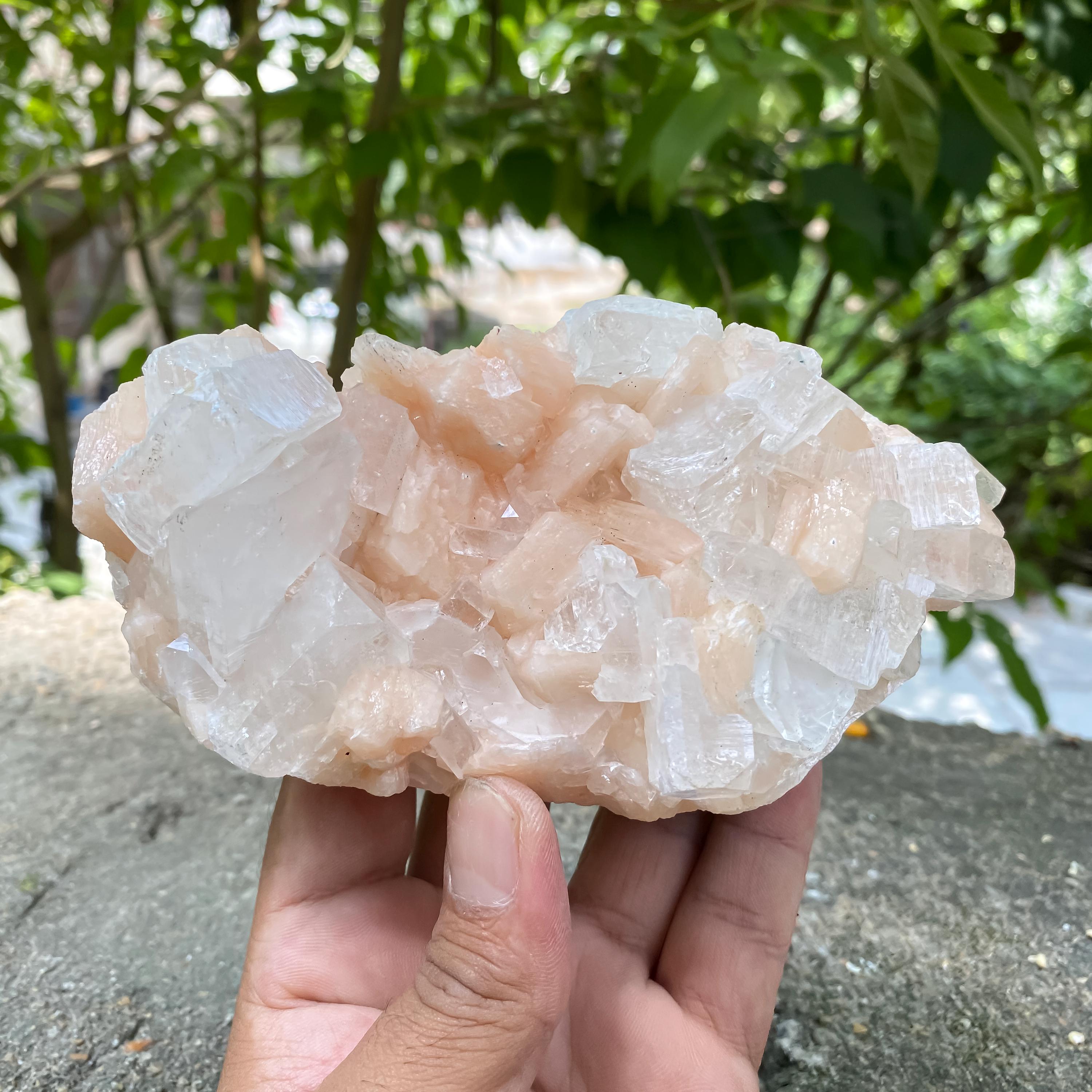 Peach Stilbite Apophyllite Cluster: Calming Reiki Healing Crystal 665gm