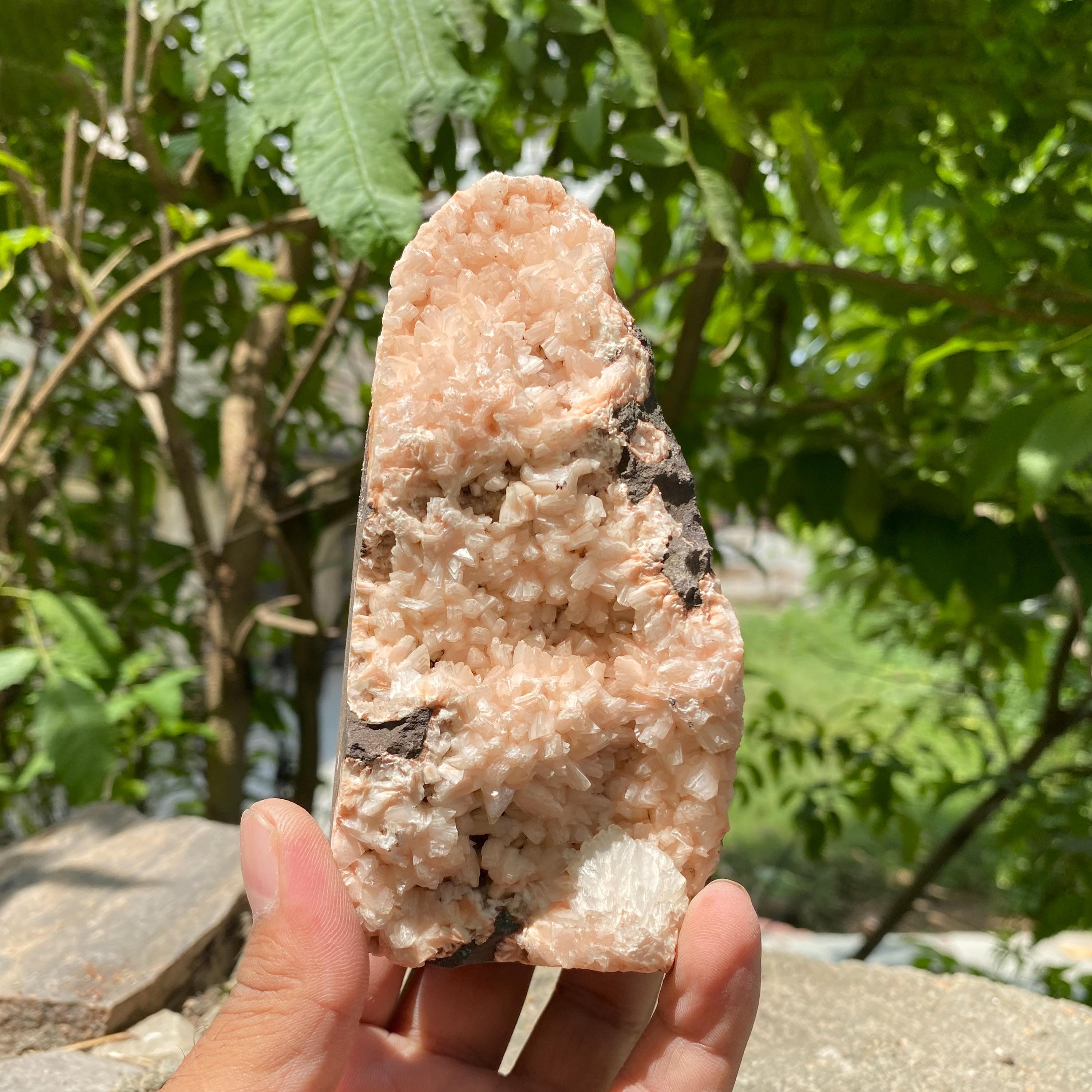 Stilbite Apophyllite Cluster: Calming Healing Crystal Decor 475gm