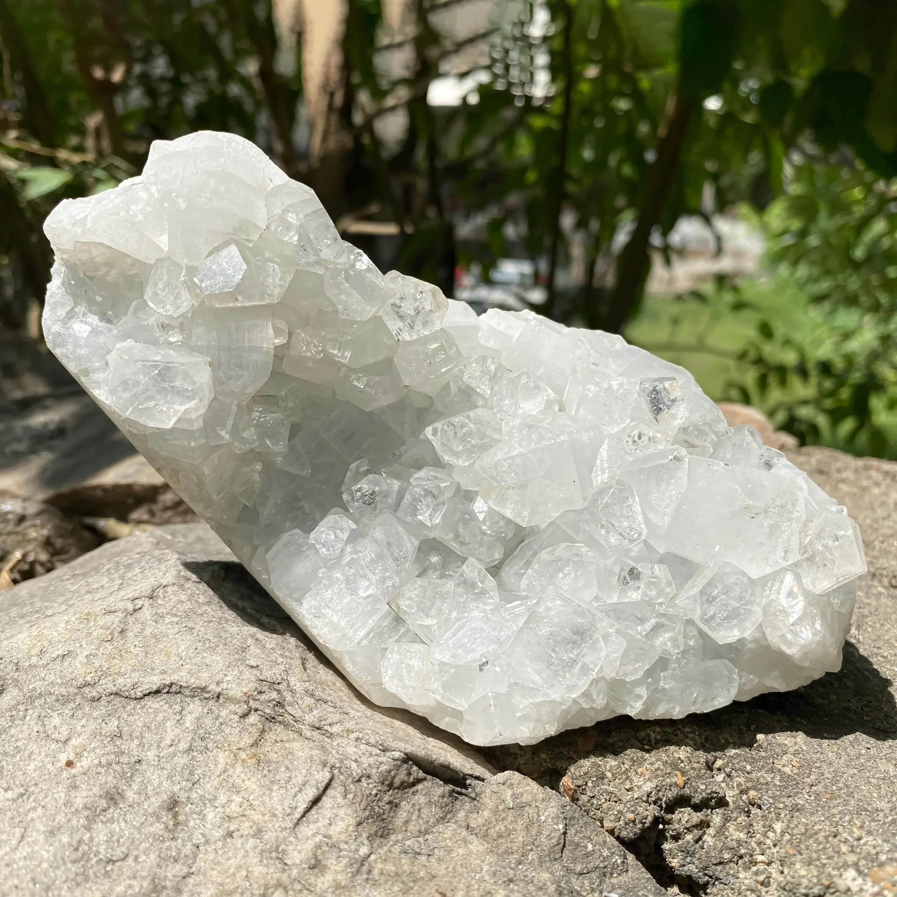 Apophyllite Zeolite Cluster: Natural Healing Stone, Meditation Decor Rough 545gm - Himalya Quartz