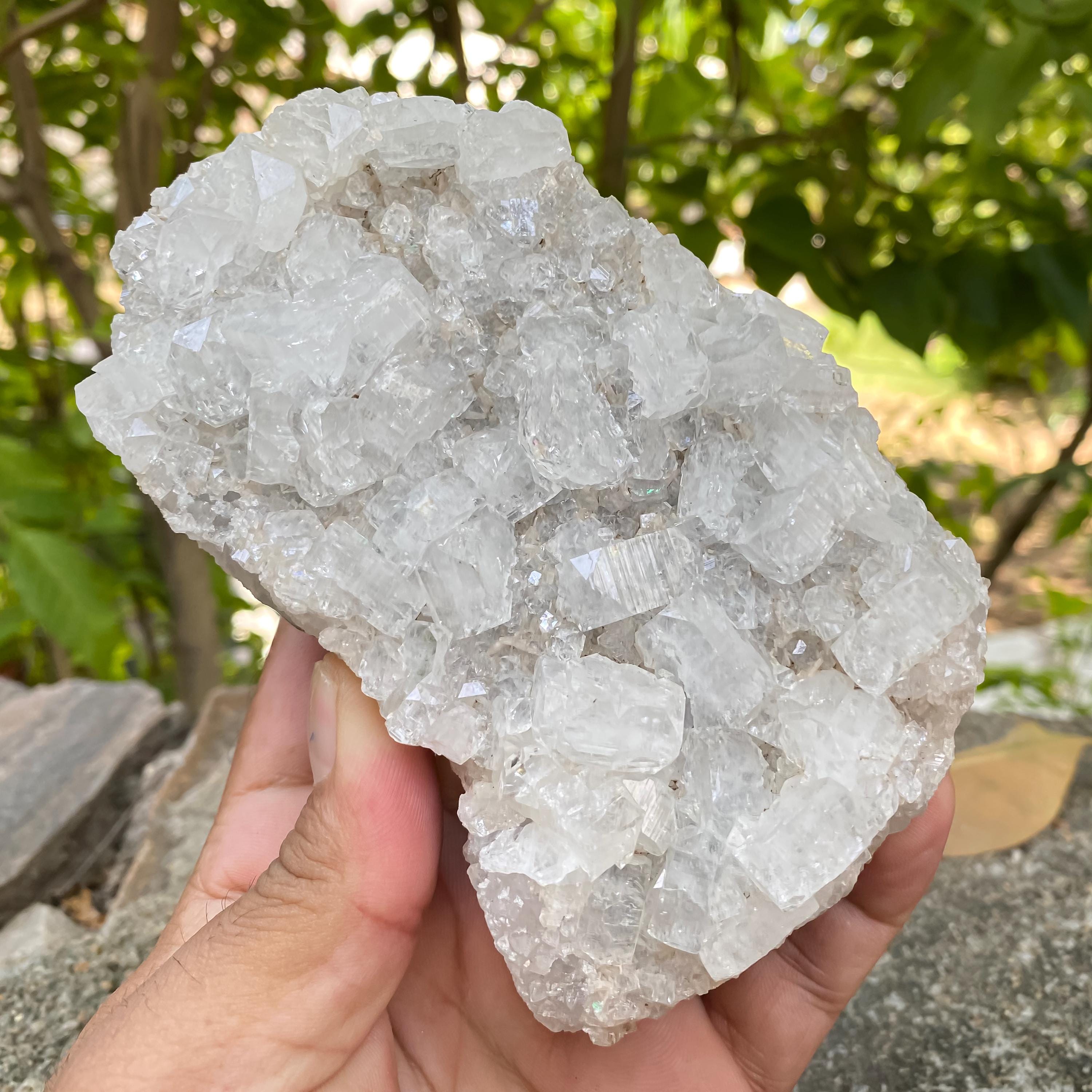 White Apophyllite Crystal Cluster, Sparkling Zeolite Specimen, 680gm Cubic White Crystals Raw, White Apophyllite Zeolite Cluster
