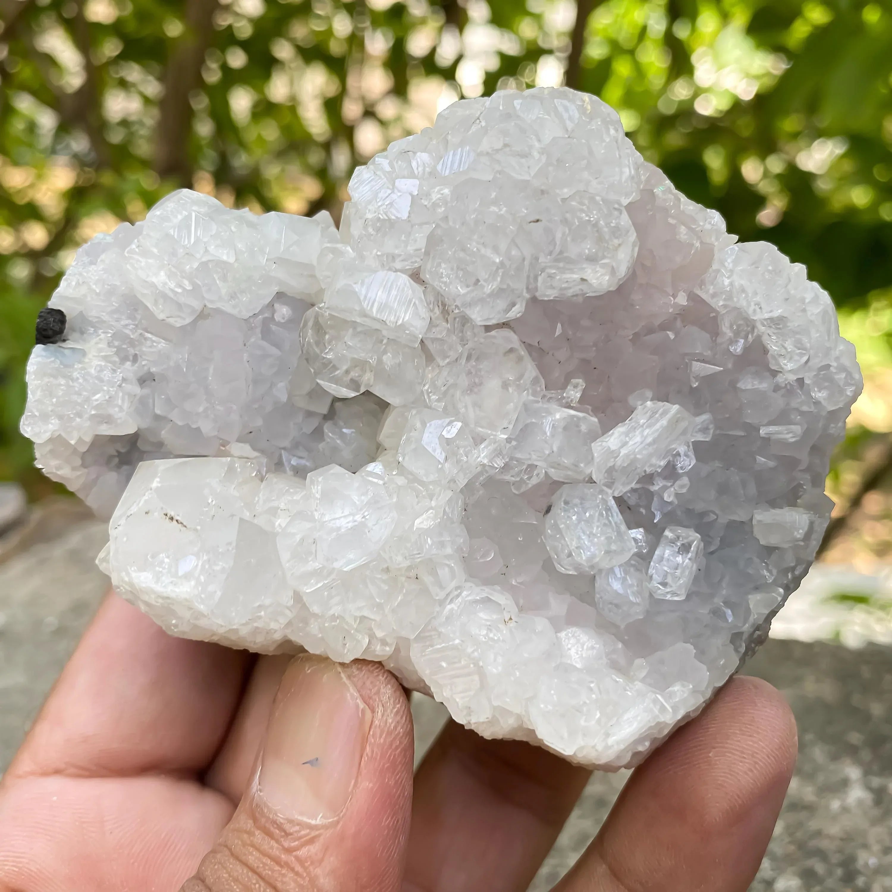 215gm White Apophyllite Cluster Natural Mineral Specimen Zeolite