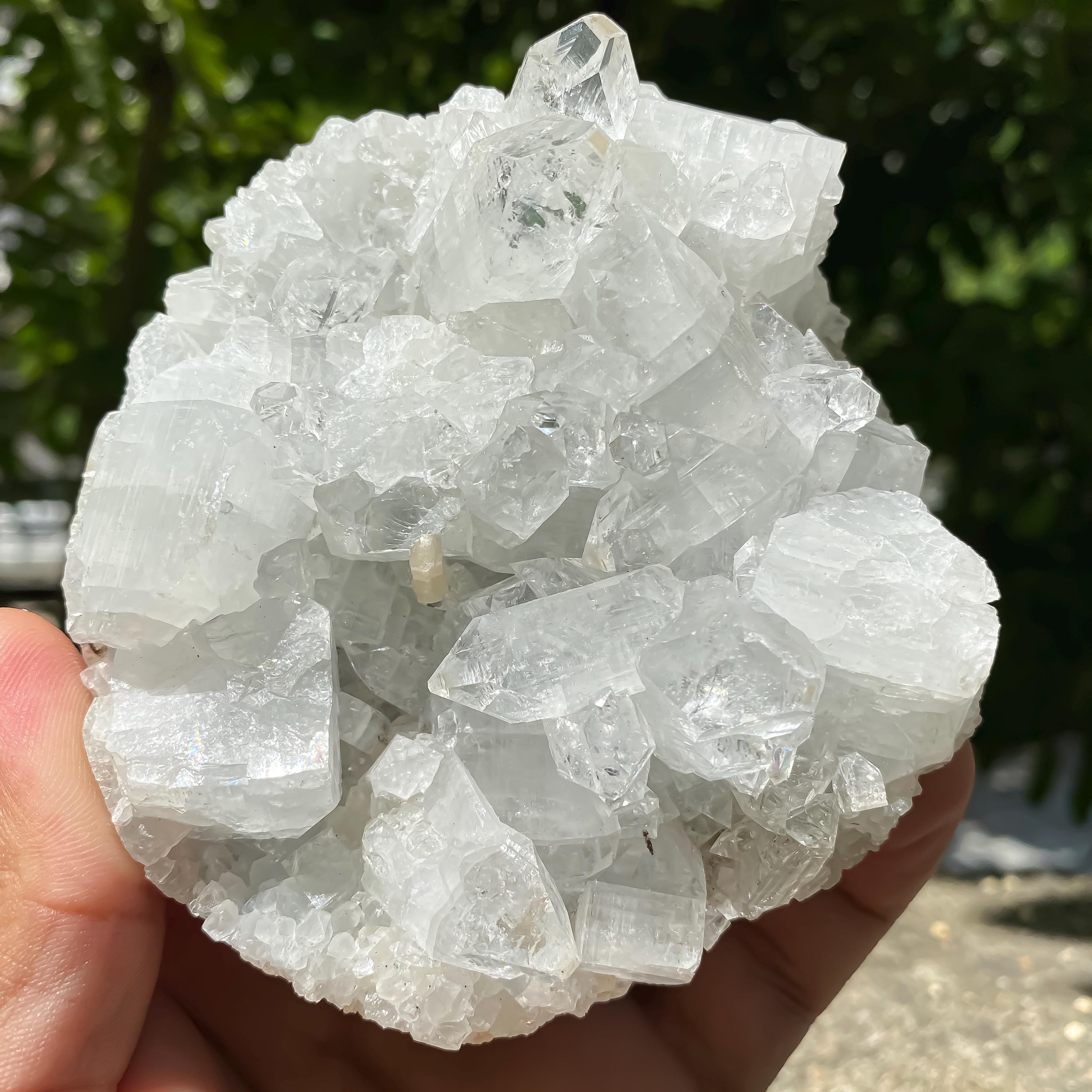 White Apophyllite Zeolite Cluster Rough 460gm Raw Crystal Mineral Reiki Healing