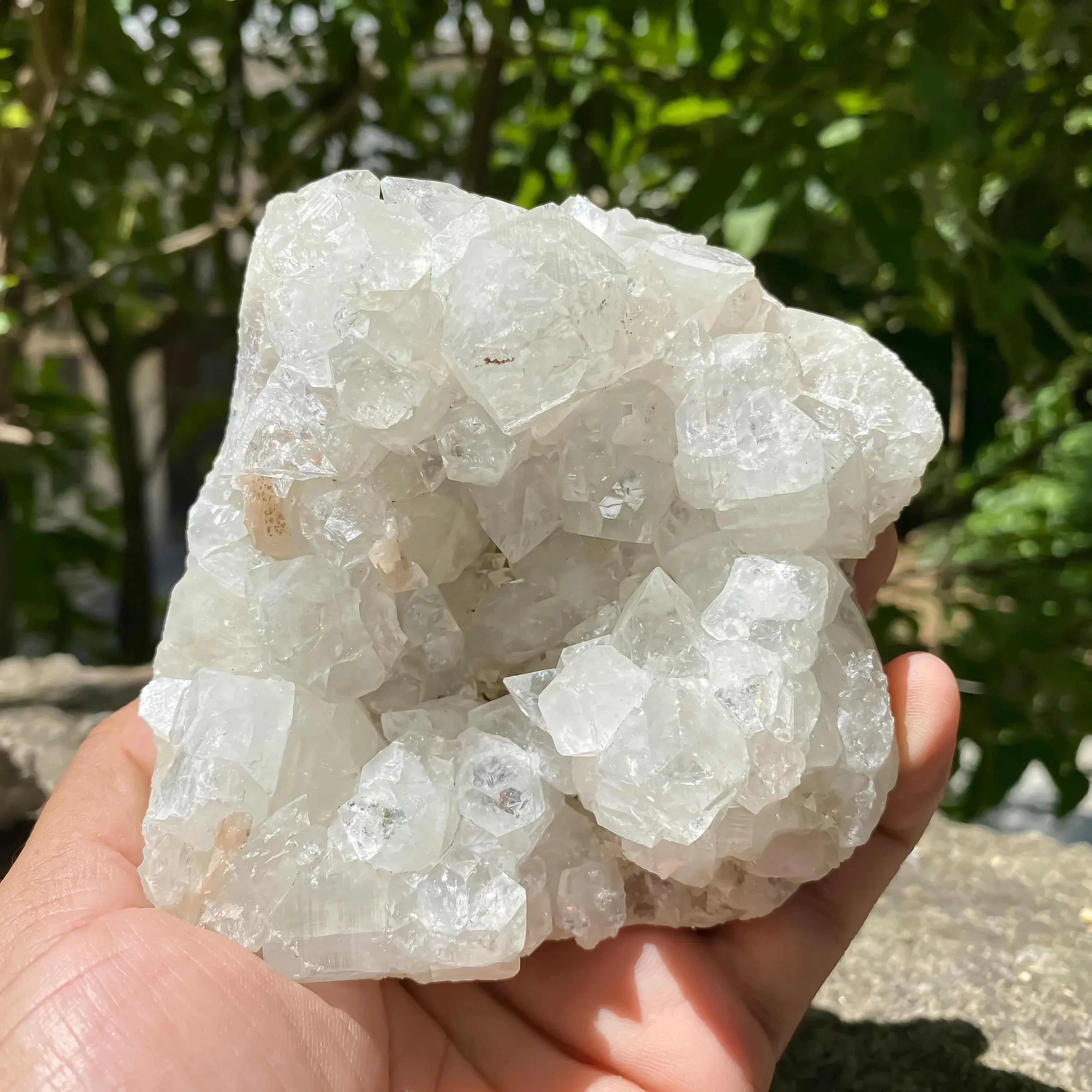 White Apophyllite Crystal Cluster: Healing Stone Home Decor 640gm Zeolite