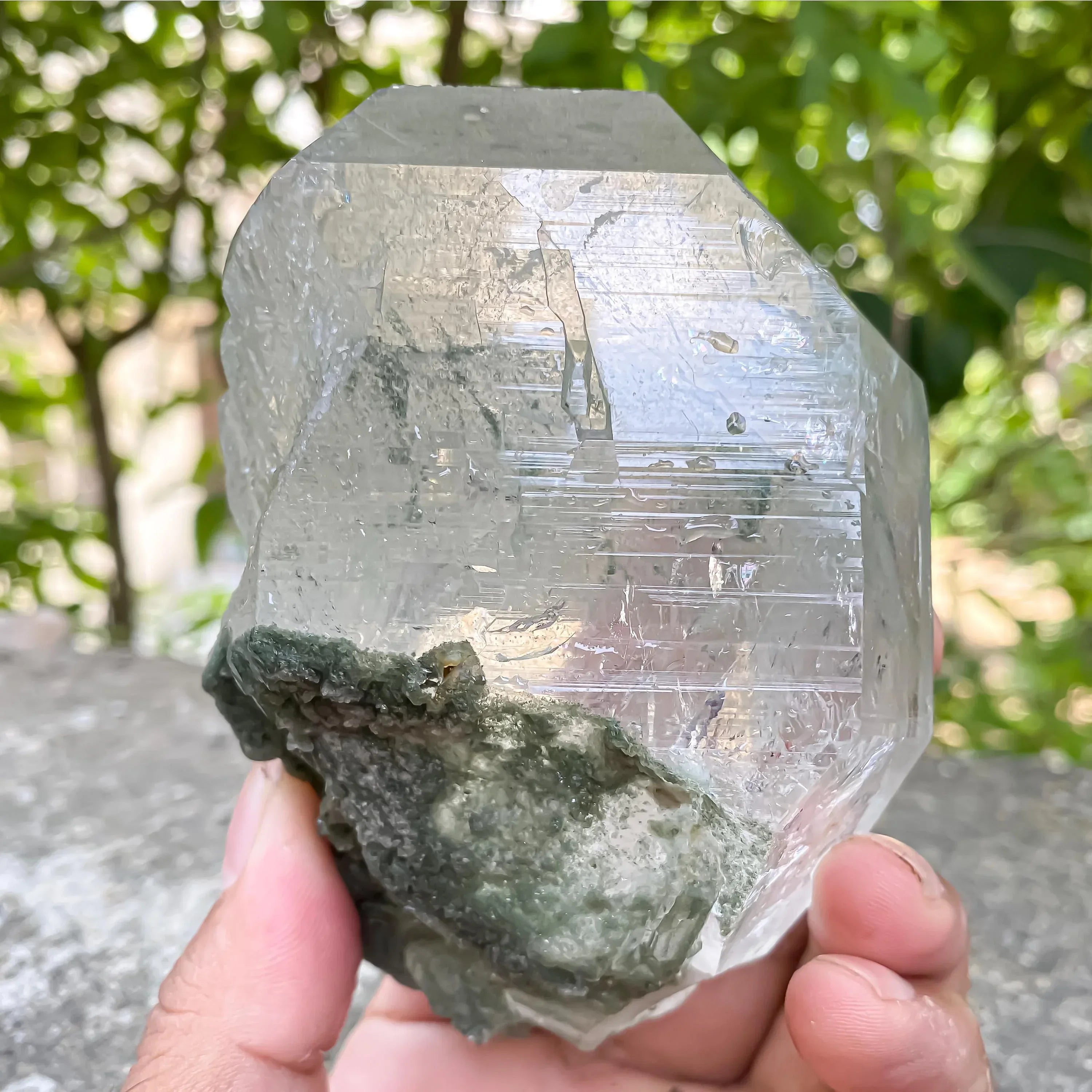 Green Chlorite Quartz Crystal Rough 515gm Natural Chlorite in Quartz Himalayan Quartz