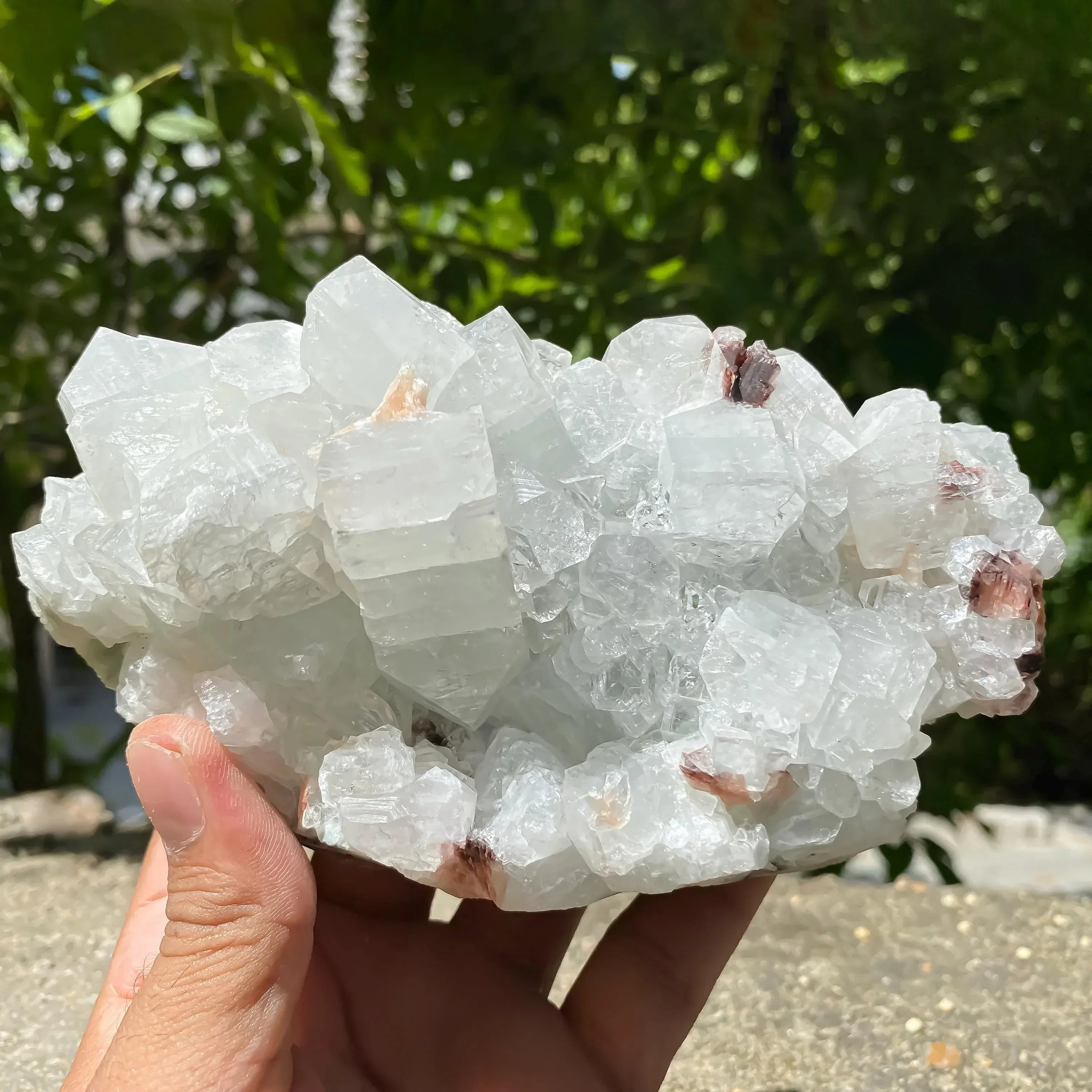 Apophyllite Crystal Cluster with Stilbite Natural Zeolite Mineral for Healing, Meditation, Home Decor Zeolite