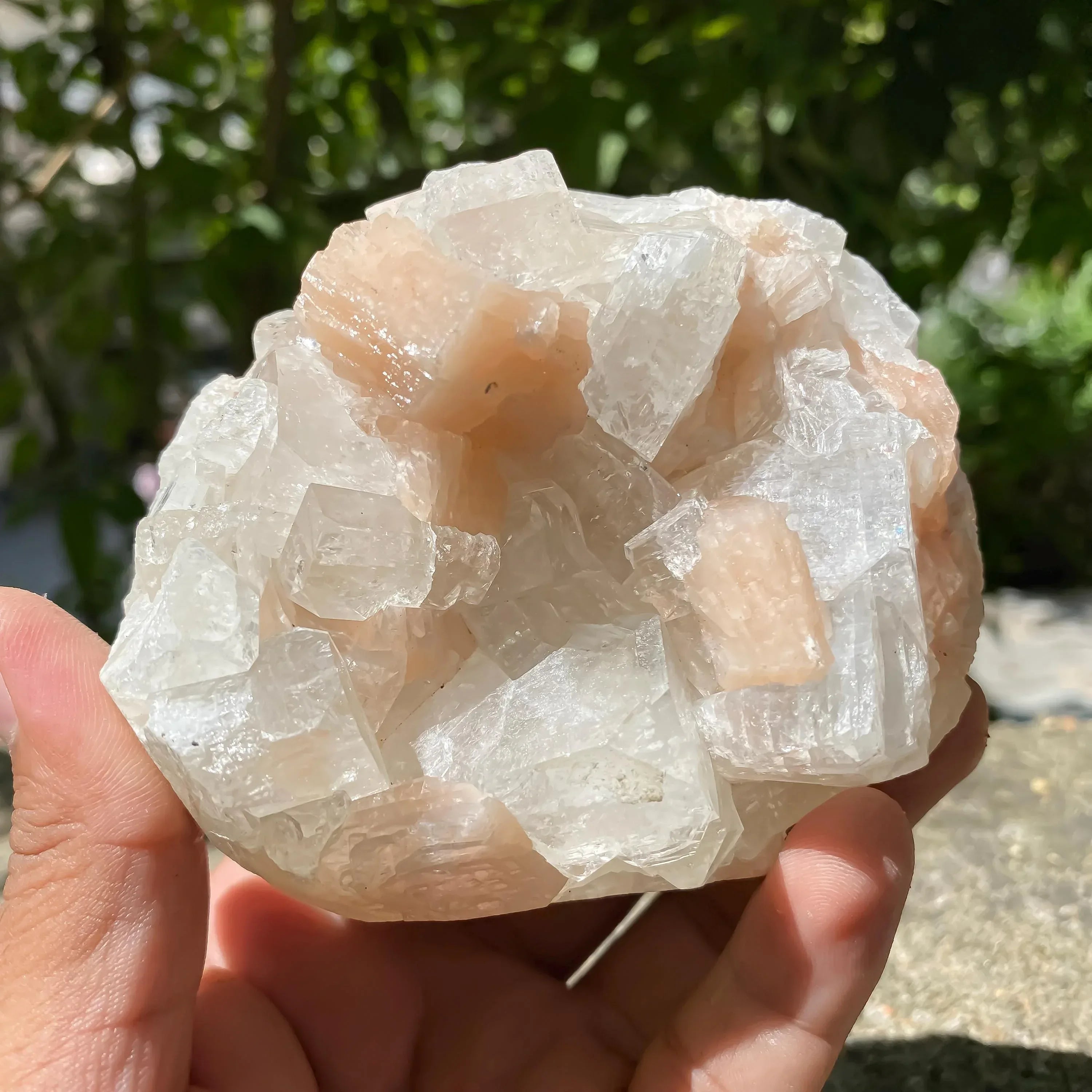 Natural Apophyllite Stilbite Geode Cluster : Rare Zeolite Crystal for Calm 535gm Zeolite