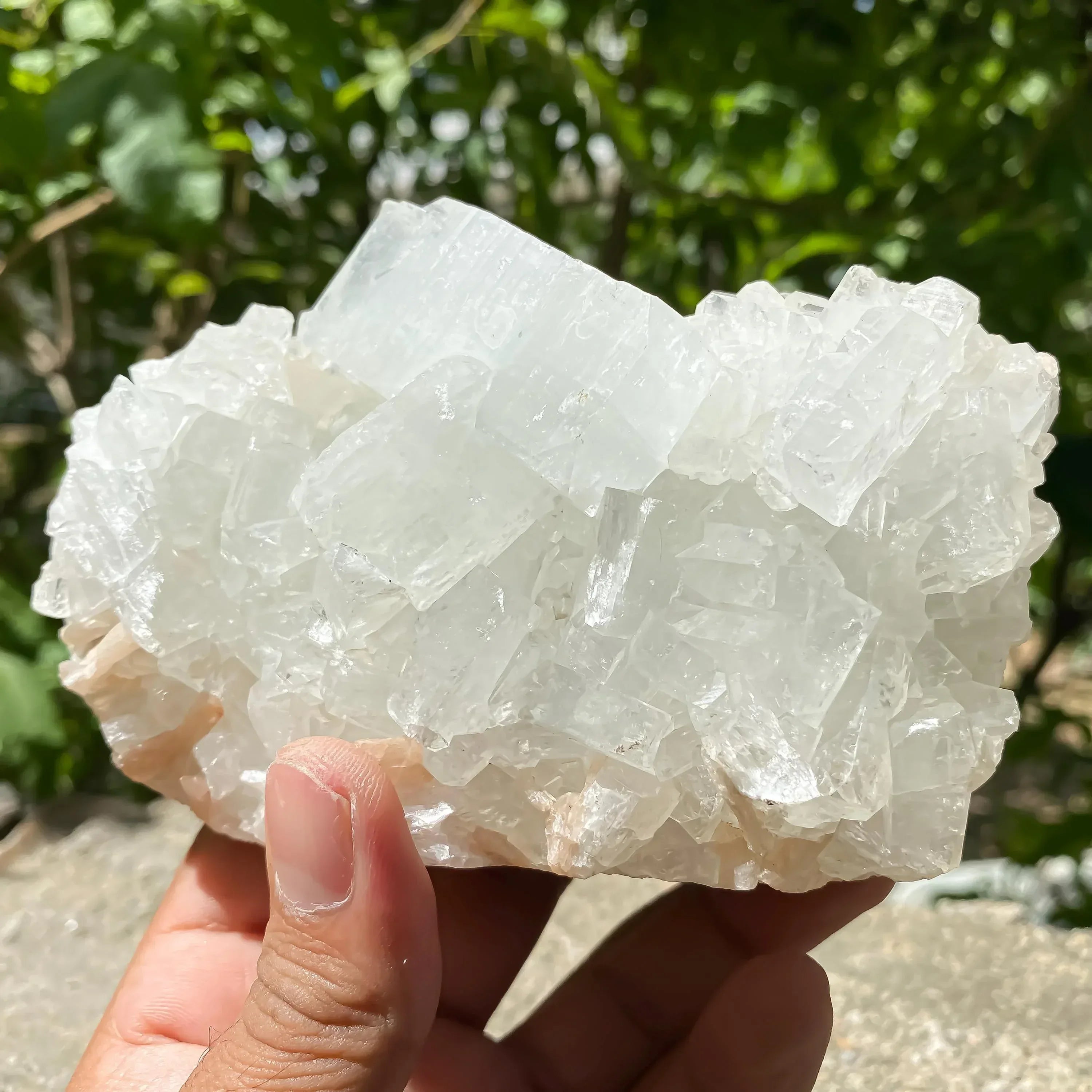 Natural White Apophyllite Cluster 593gm Druzy Crystal Reiki Healing Stone Rough Zeolite