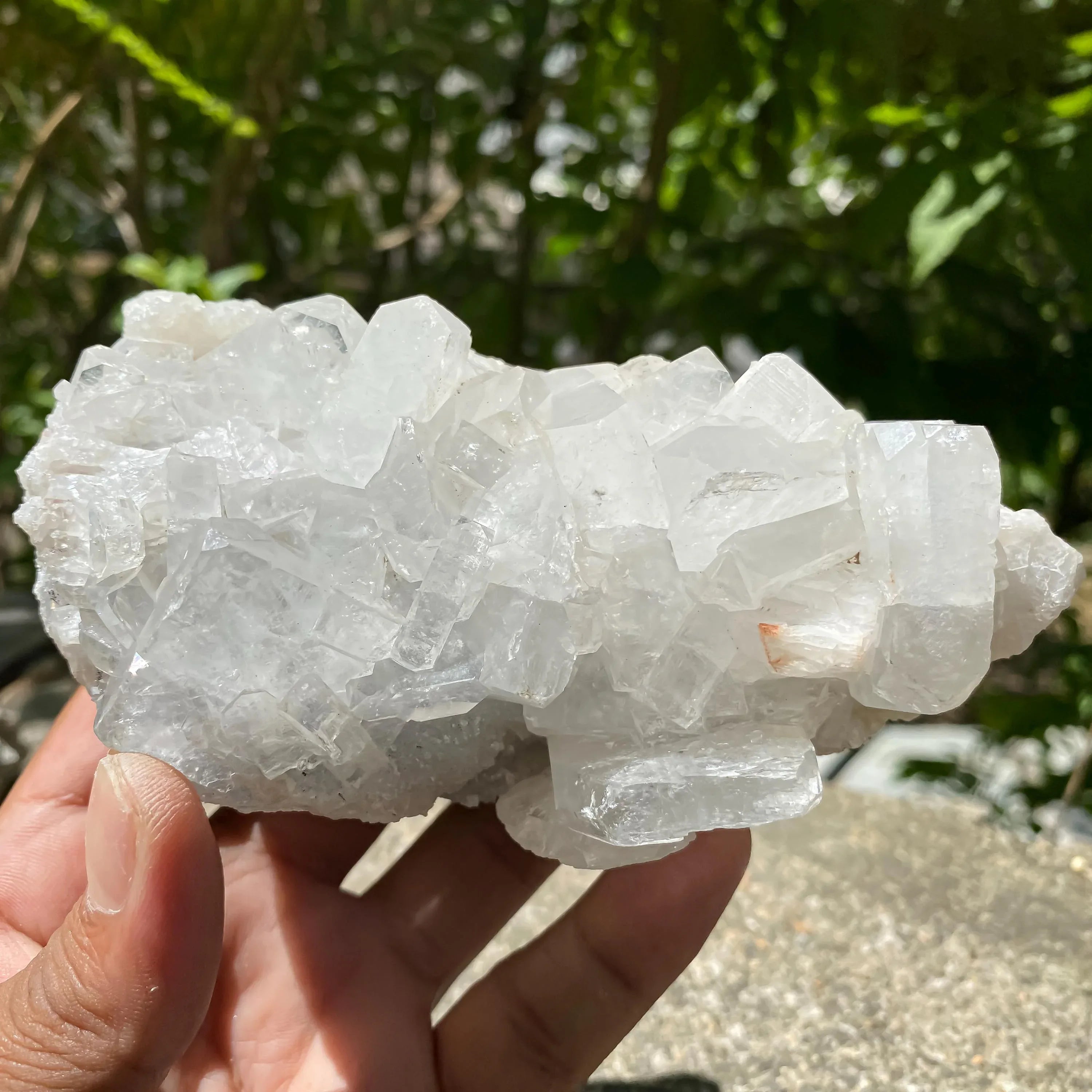 Natural White Apophyllite Crystal Cluster: Reiki Healing Stone 420gm - Himalya Quartz