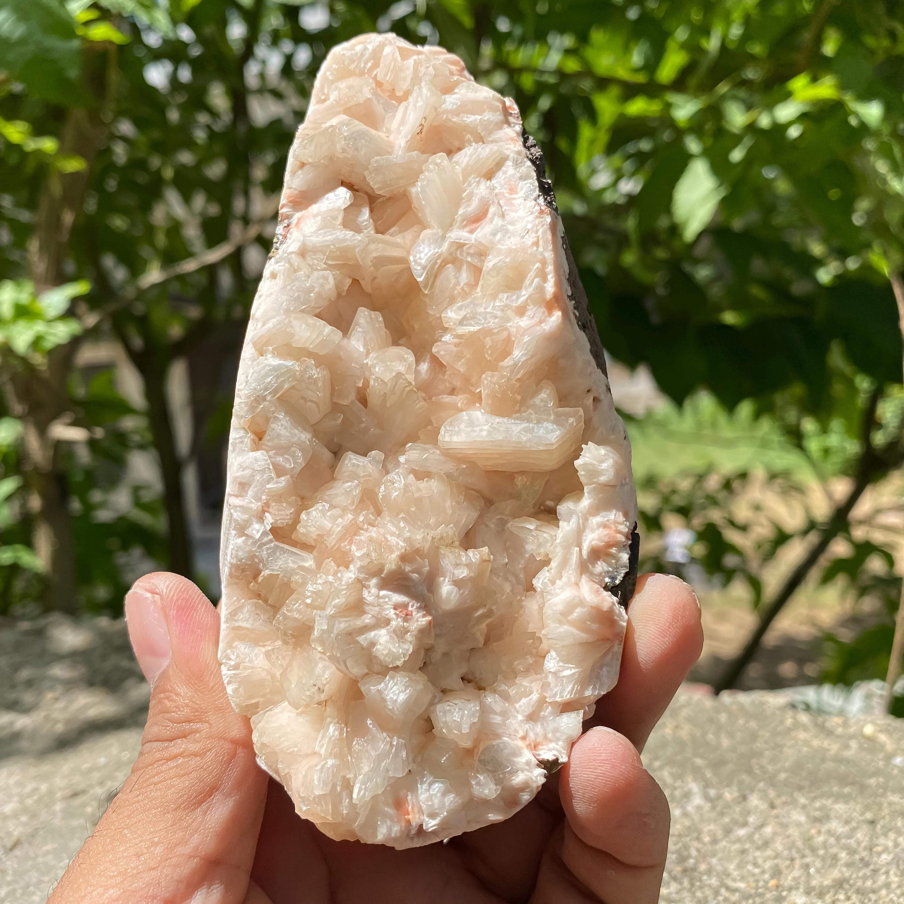 Peach Stilbite Apophyllite Crystal Geode: Raw Healing Stone 425gm