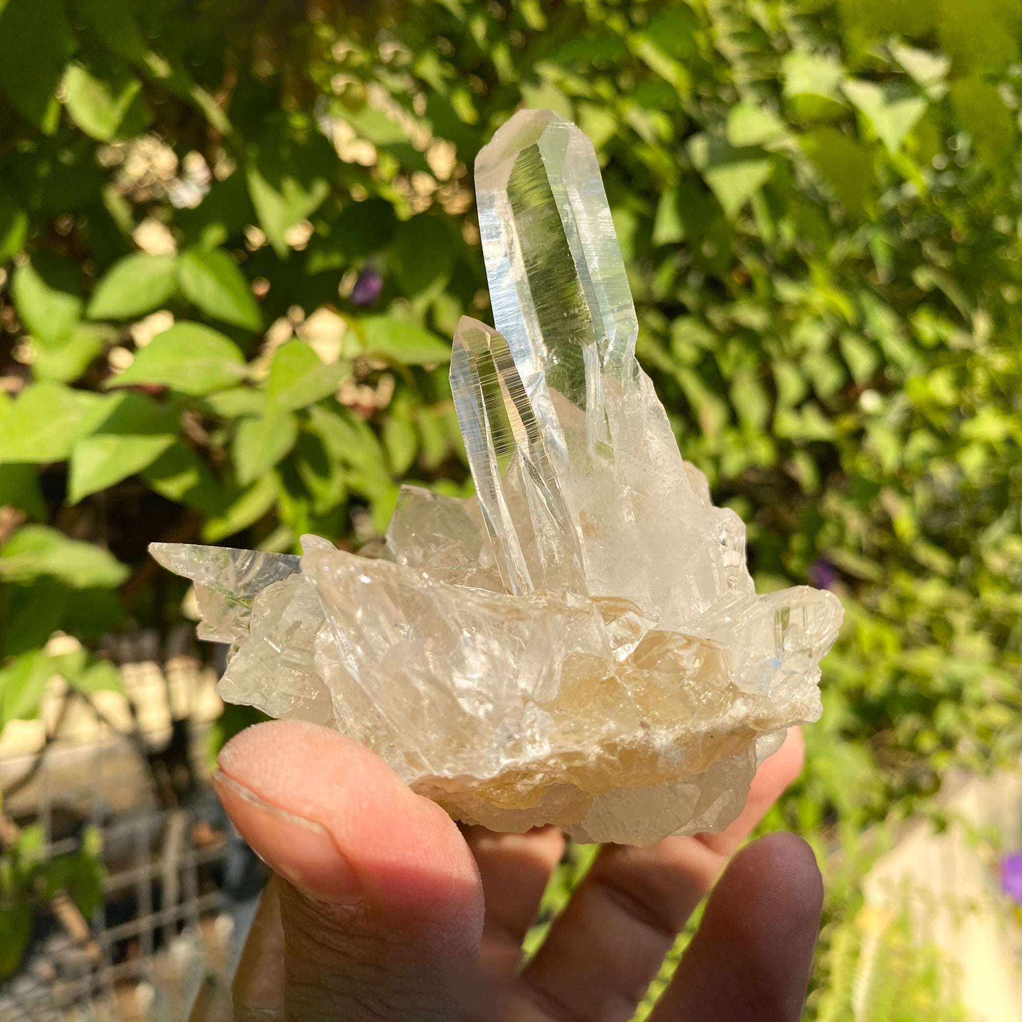 Himalayan Quartz Amplifies Energy & Intention