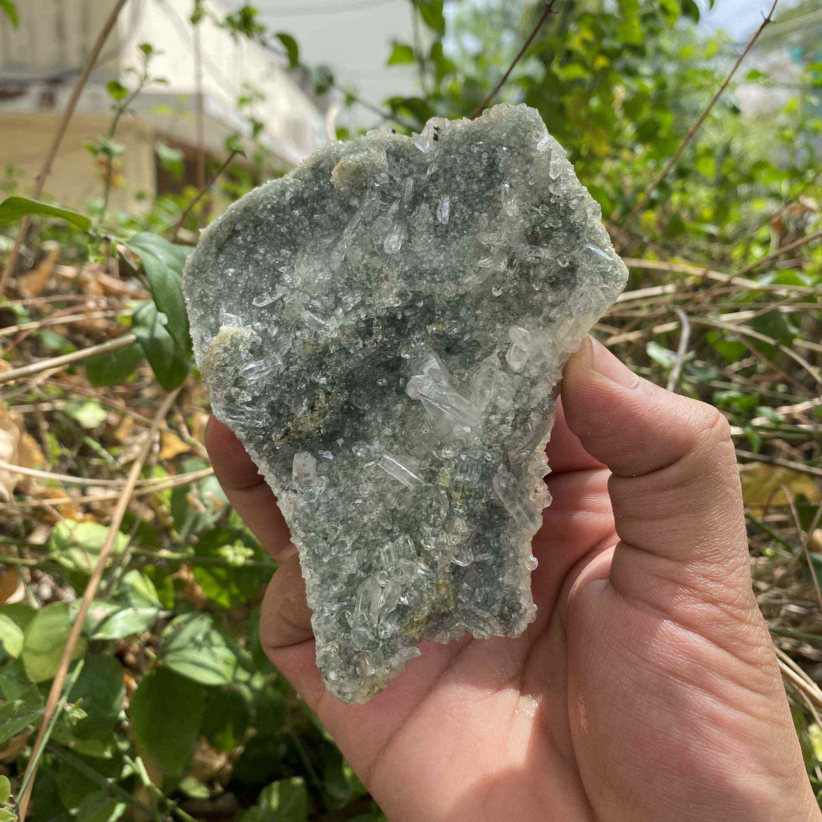 Chlorite Quartz Cluster: Formation, Inclusions and Collector Guide