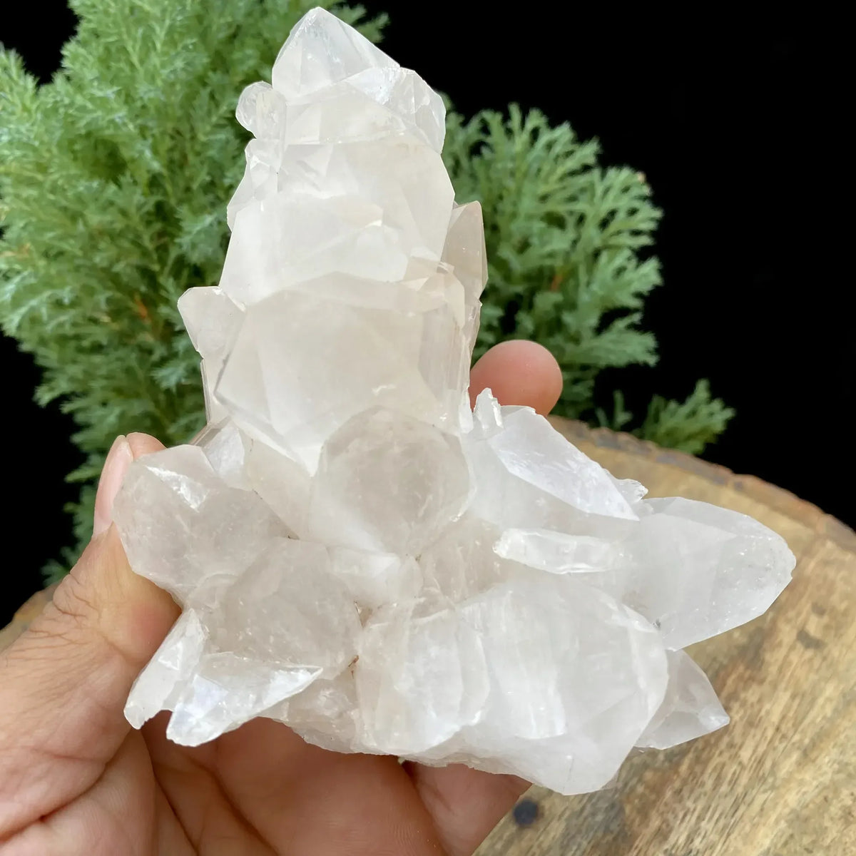 Natural Himalayan clear quartz cluster with translucent crystal points