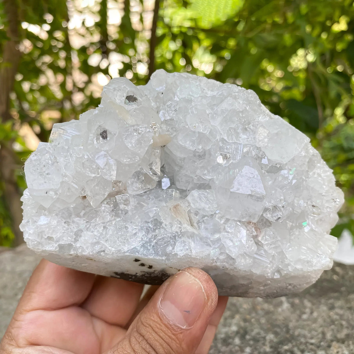 565g White Apophyllite Geode with Zeolite Matrix Natural Raw Mineral Collector Specimen