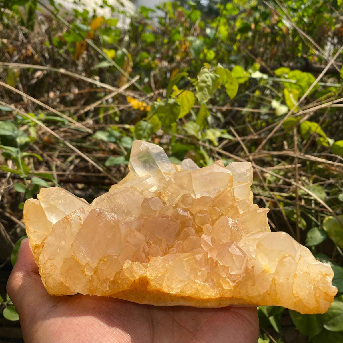 Yellow Quartz Collection - Radiant Crystals for Healing and Style