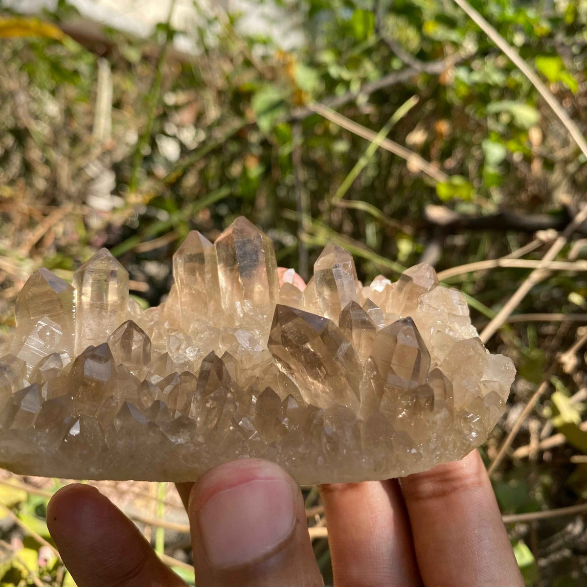 IMG_7453.jpg