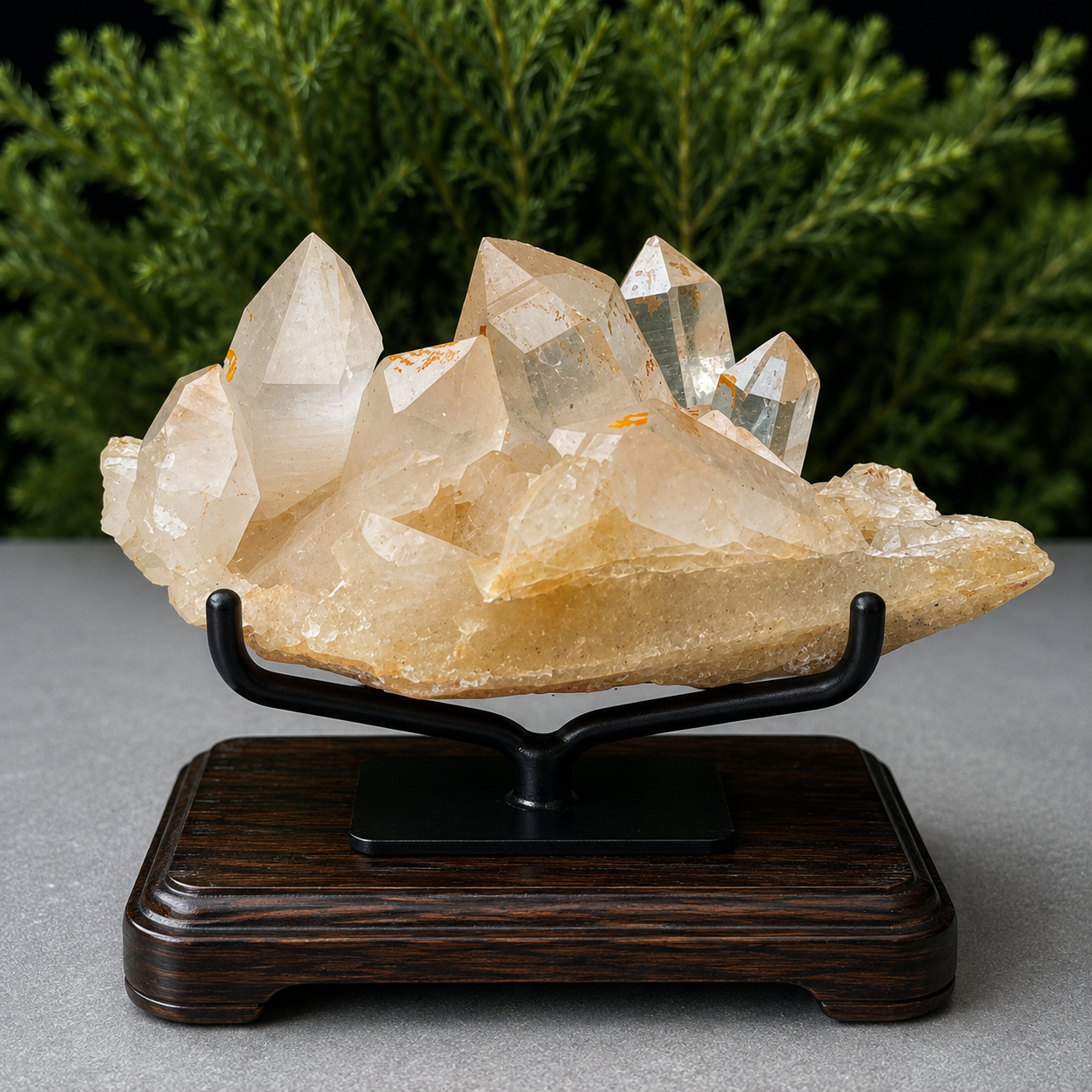 Pink Natural Himalayan Samadhi Quartz Cluster Raw Crystal Healing Energy Display