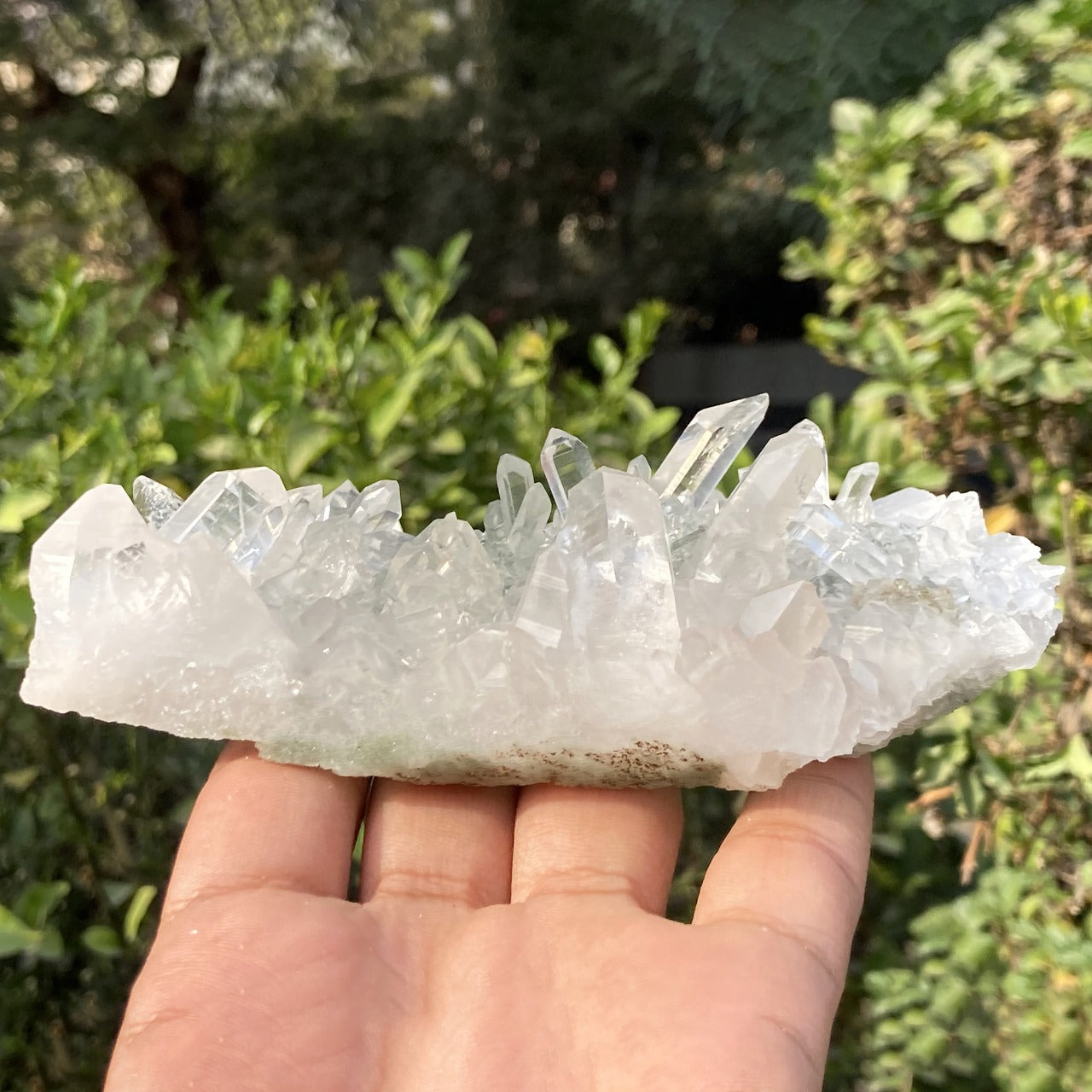 Himalayan Chlorite Quartz Crystal: Natural Healing Stone, 315gm
