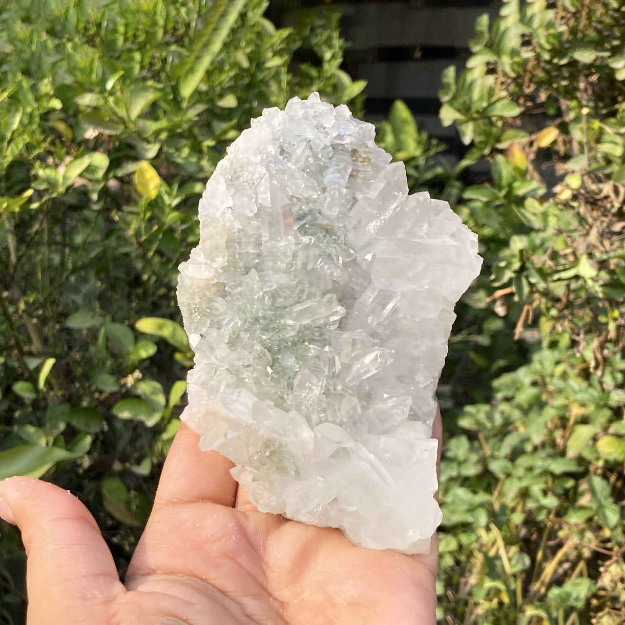 Himalayan Chlorite Quartz Crystal: Natural Healing Stone, 315gm
