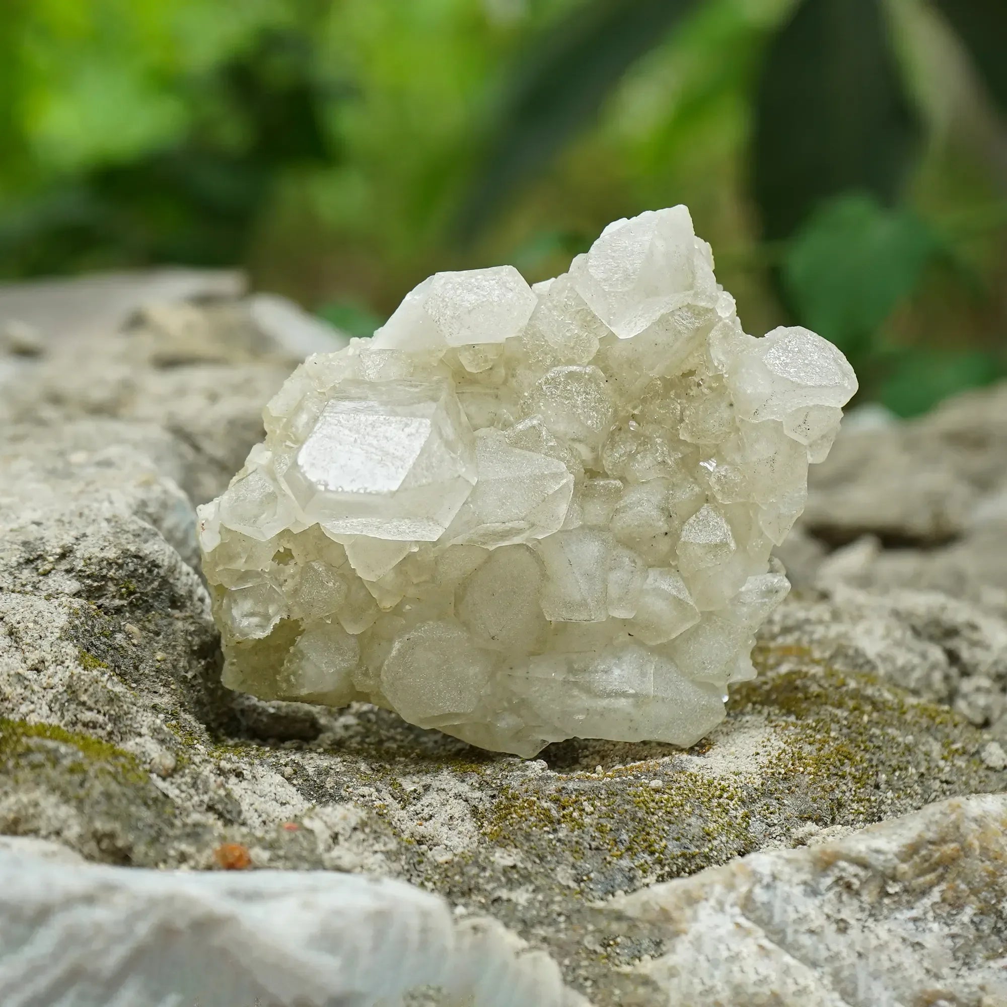 Natural Himalayan White Phantom Quartz Cluster 145g Himalayan Quartz