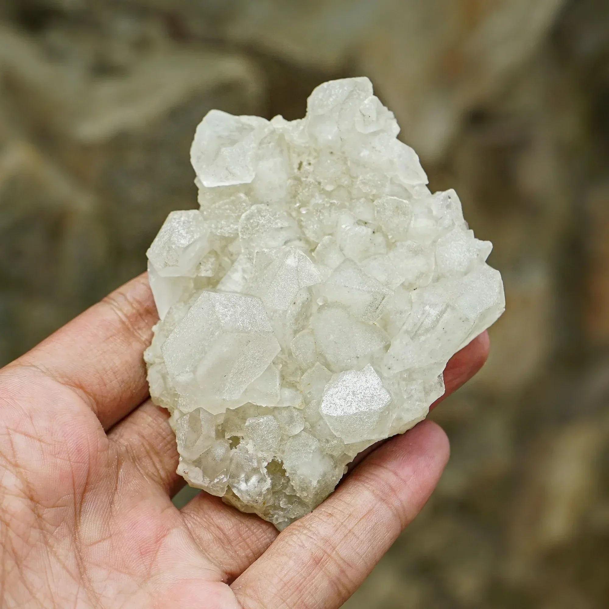 Natural Himalayan White Phantom Quartz Cluster 145g Himalayan Quartz