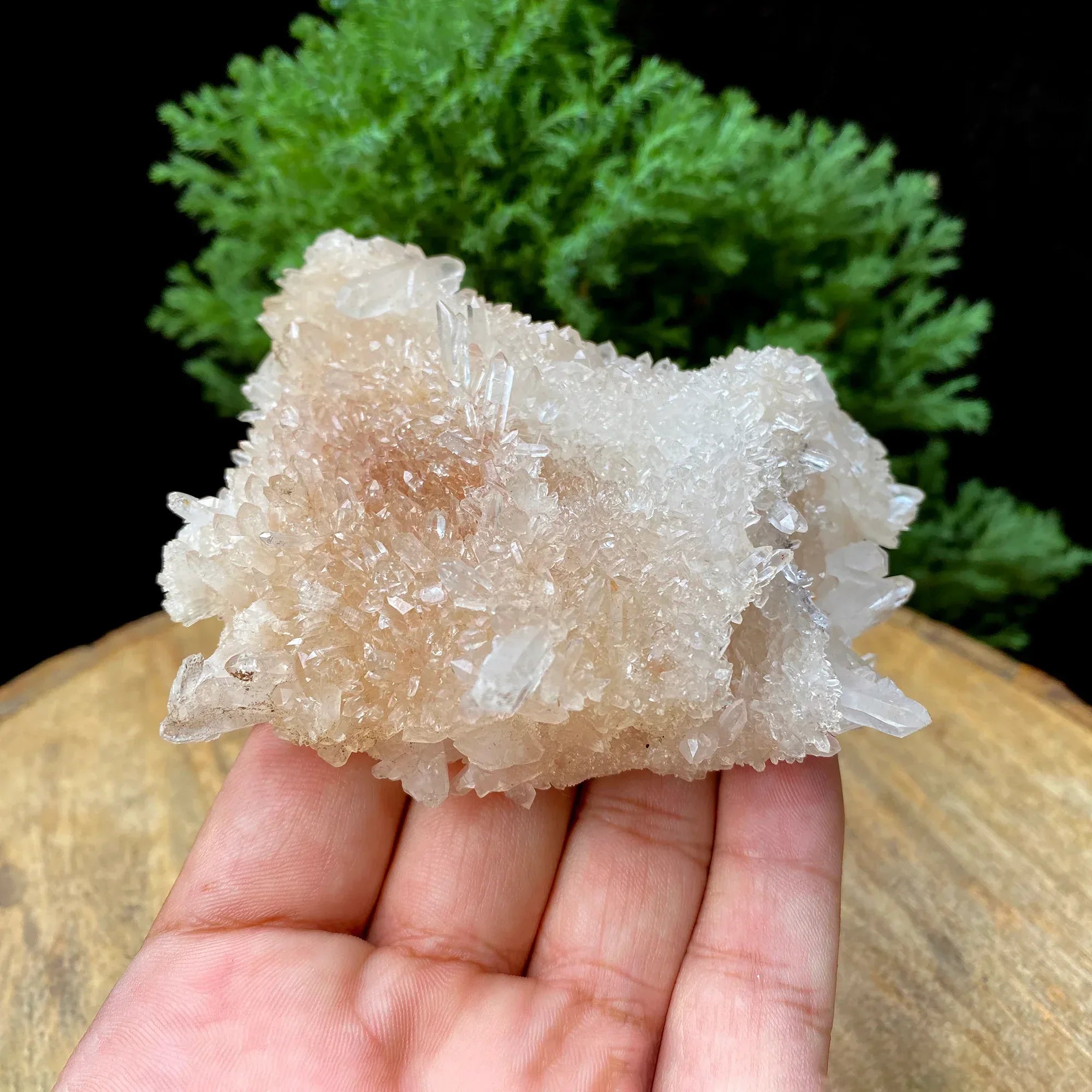 Natural Himalayan Pink Quartz Cluster 235g Himalayan Quartz