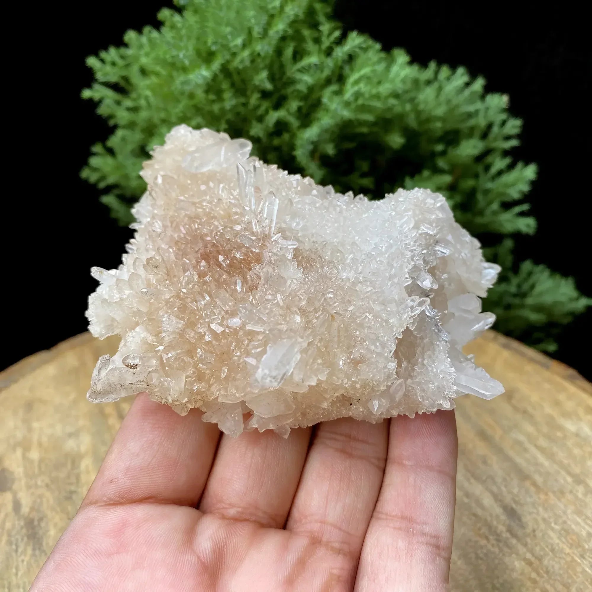 Natural Himalayan Pink Quartz Cluster 235g Himalayan Quartz