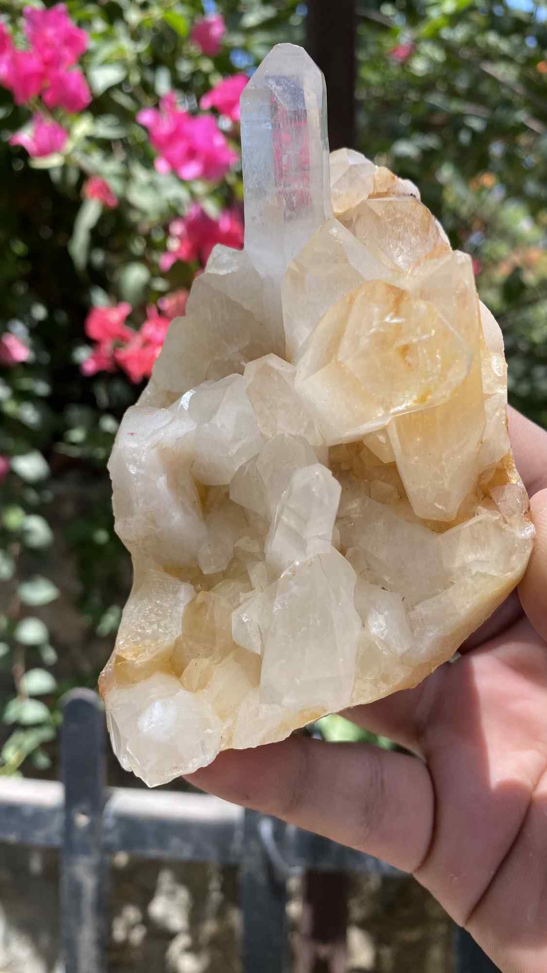 Himalya Quartz Himalayan Yellow Quartz crystal cluster, raw healing stone for abundance, positivity, and meditation.
