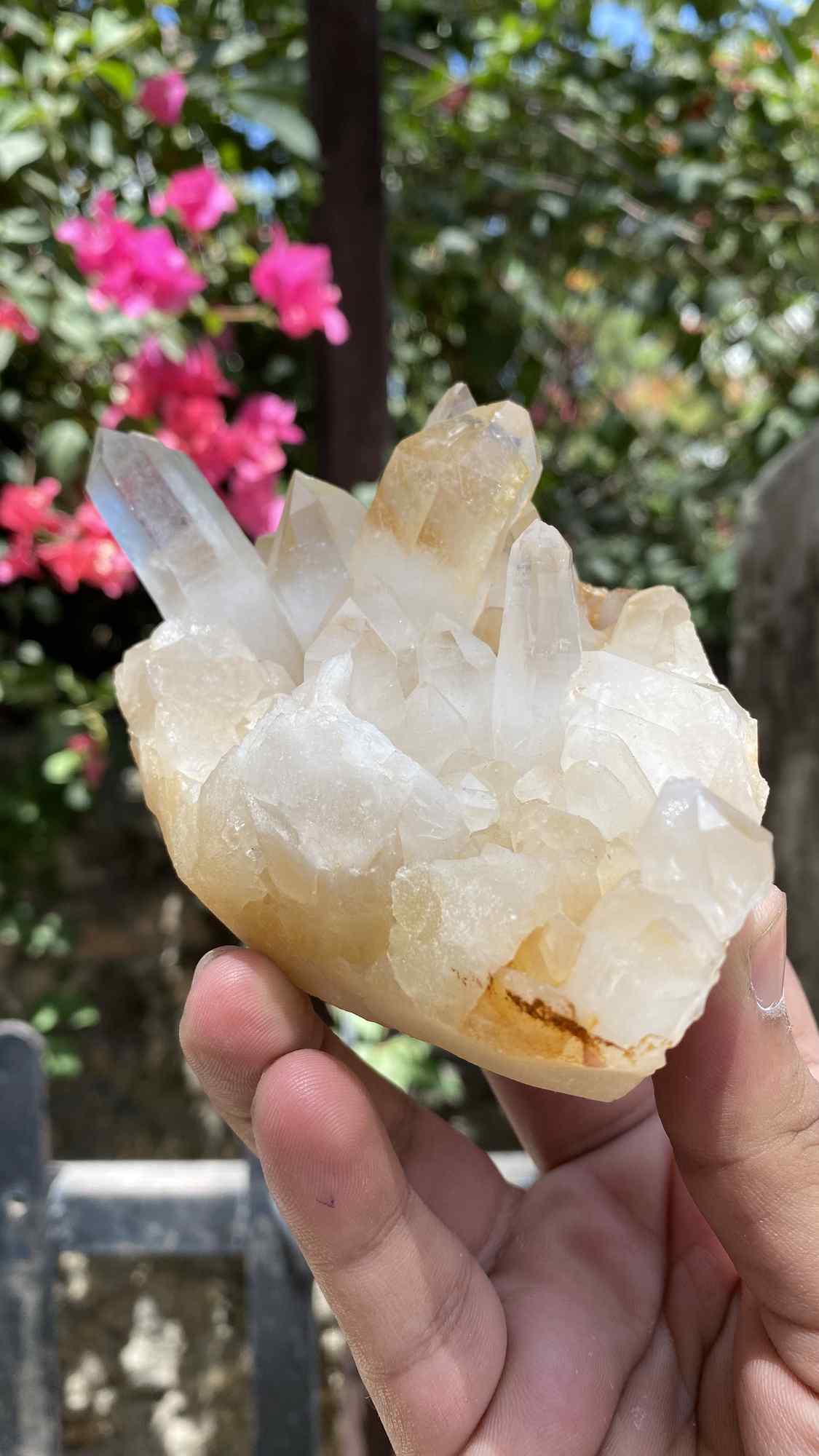 Himalya Quartz Himalayan Yellow Quartz Crystal Cluster with raw, vibrant yellow stones perfect for healing, abundance, and meditation.
