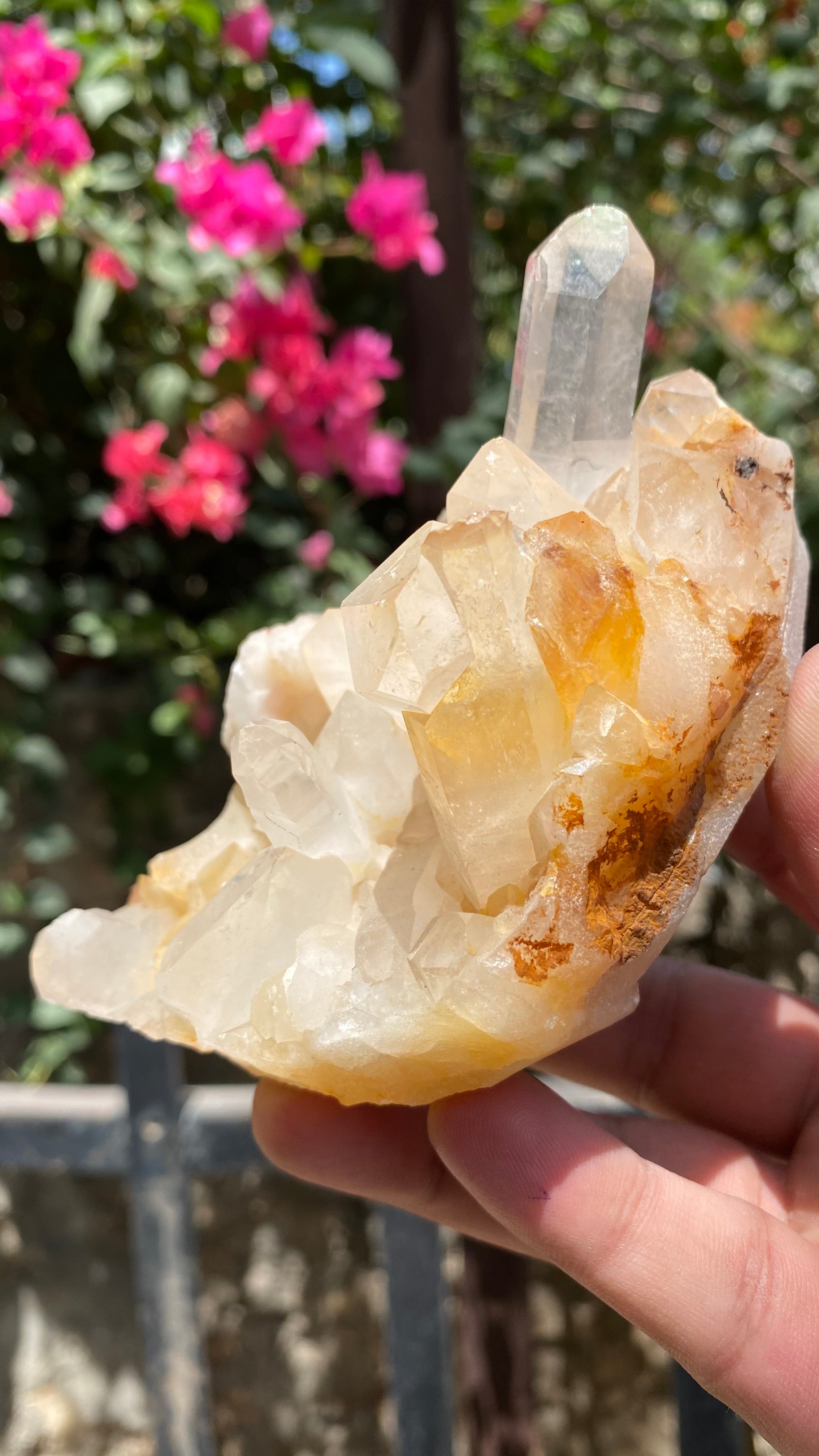 Natural Himalayan Quartz yellow crystal cluster from Himalya Quartz, raw healing stone for abundance, positivity, and meditation.