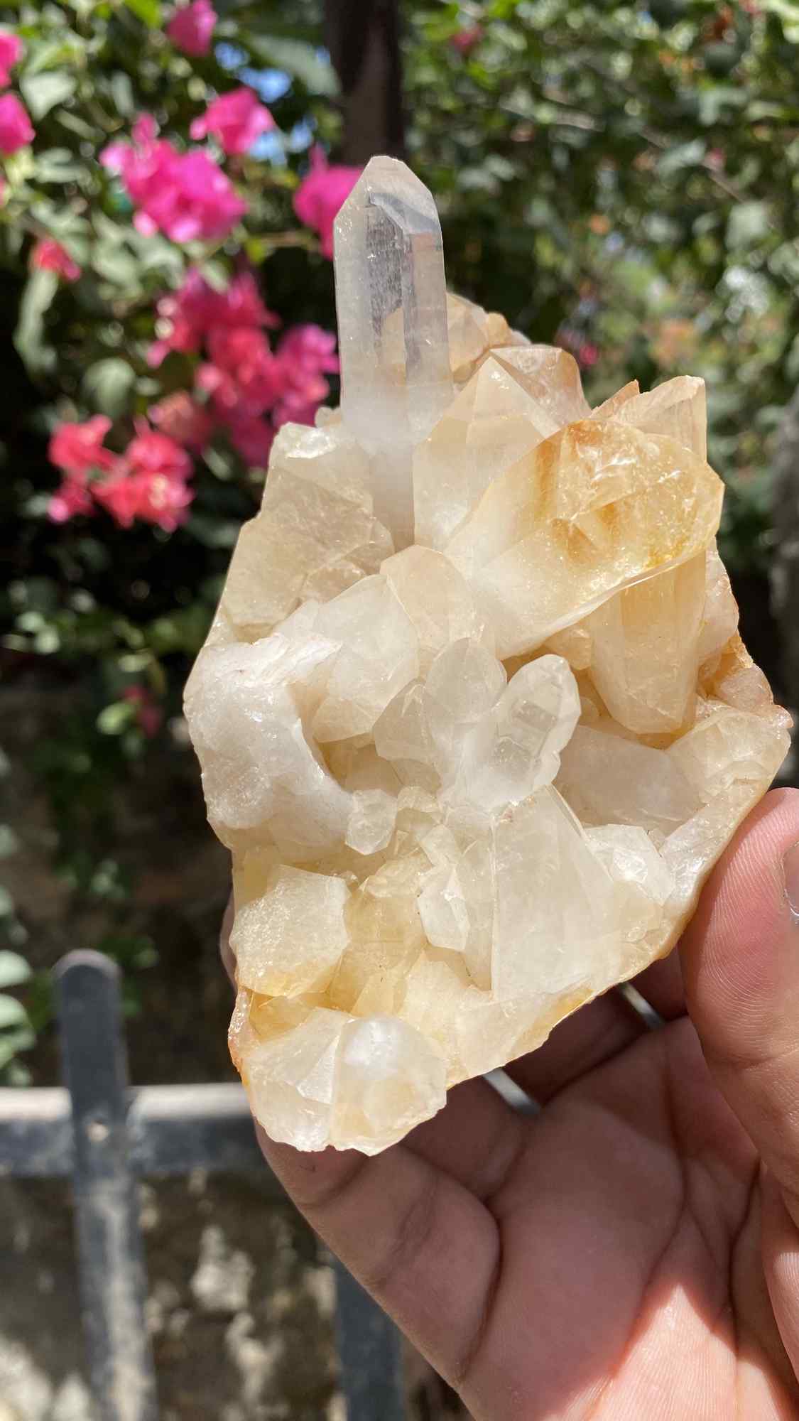Himalya Quartz Himalayan Yellow Quartz Crystal Cluster for healing, abundance, positivity, and meditation, featuring raw, natural mineral formations.
