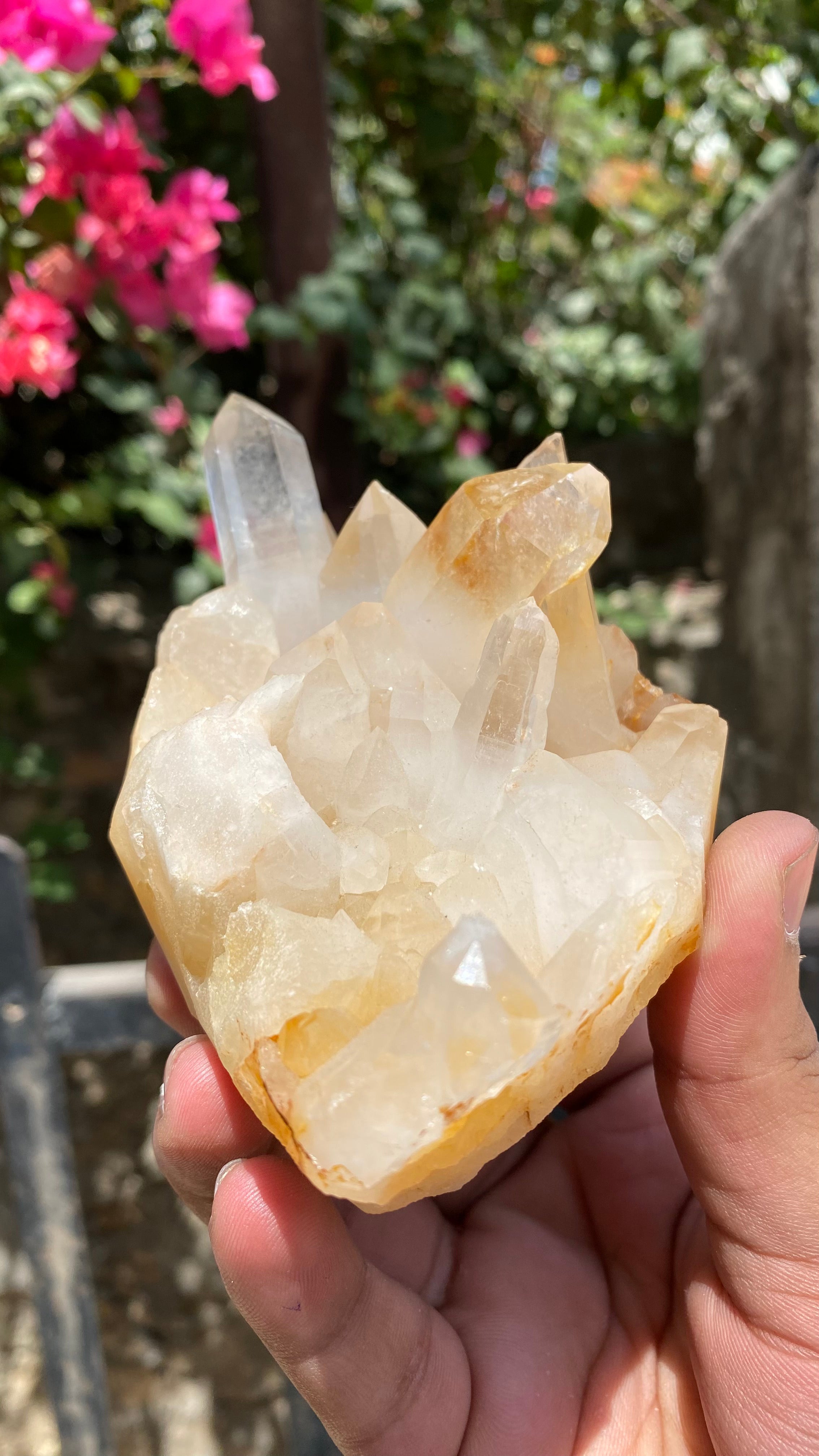 Himalya Quartz Himalayan Yellow Quartz crystal cluster with raw, vibrant yellow stones for healing, abundance, positivity, and meditation.