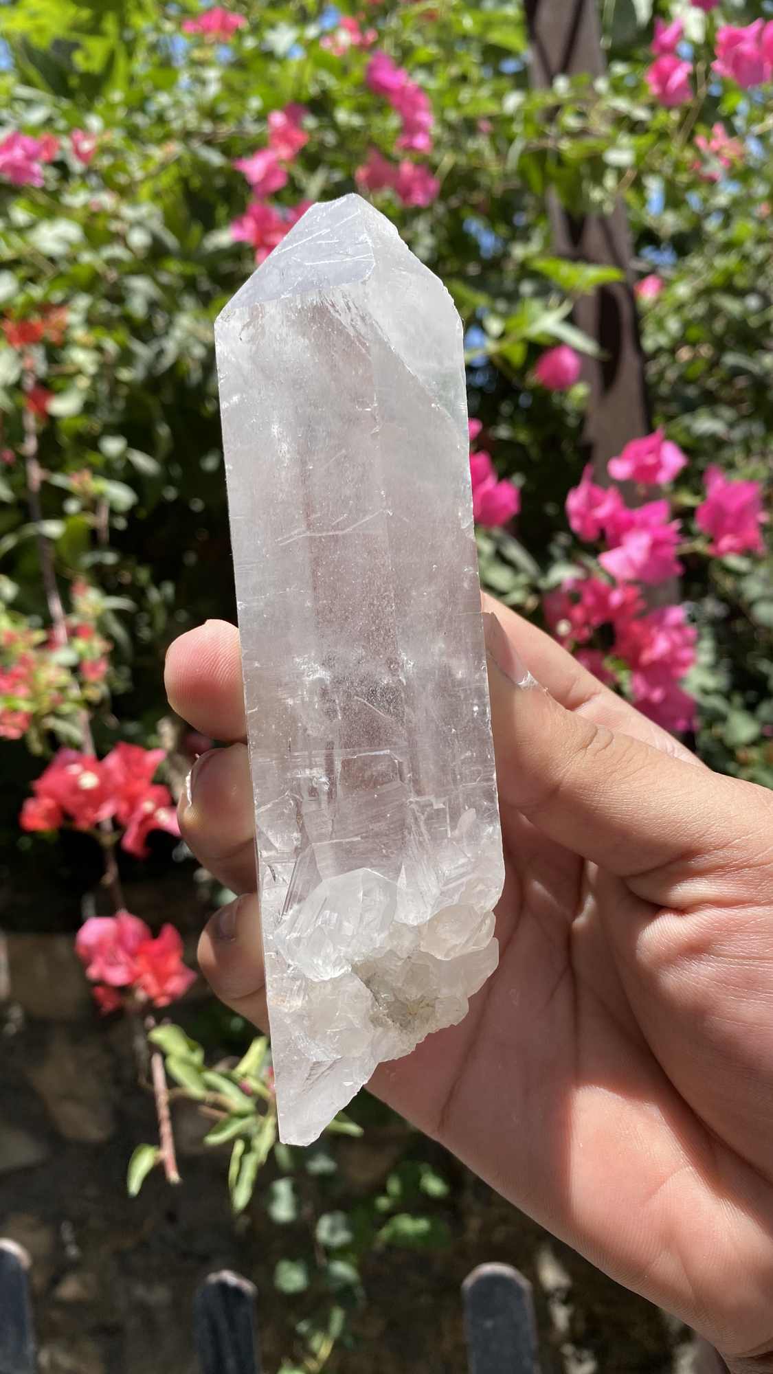 Himalya Quartz Himalayan White Quartz Crystal Cluster for meditation, Reiki, energy cleansing, and spiritual decor display.
