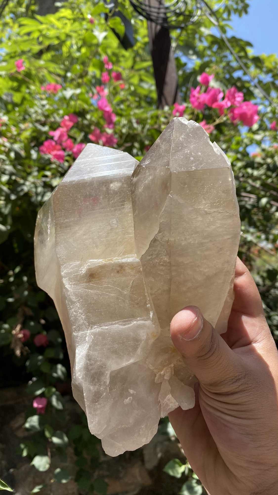 Himalaya Quartz Himalayan Smoky Quartz crystal cluster for protection and meditation, raw healing stone with natural smoky quartz appearance.